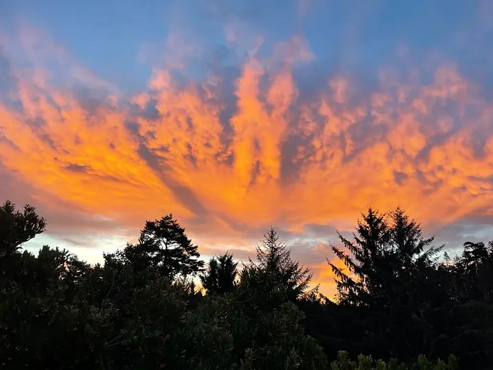 Rust, Rot, or Ripen?