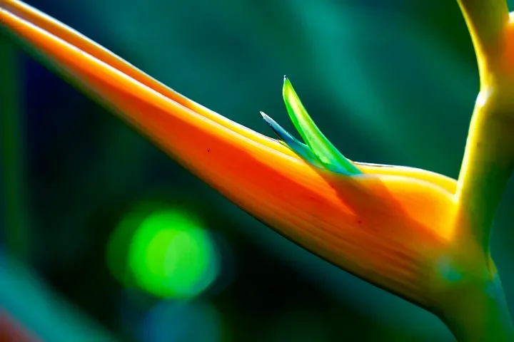 A Stroke of Grace and Gratitude