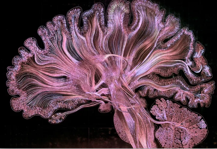 Relax, Mind! Your Body’s Taking Care of Business