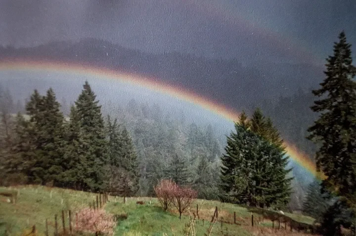 Cybercene or Biocene: Which Future Will We Choose?