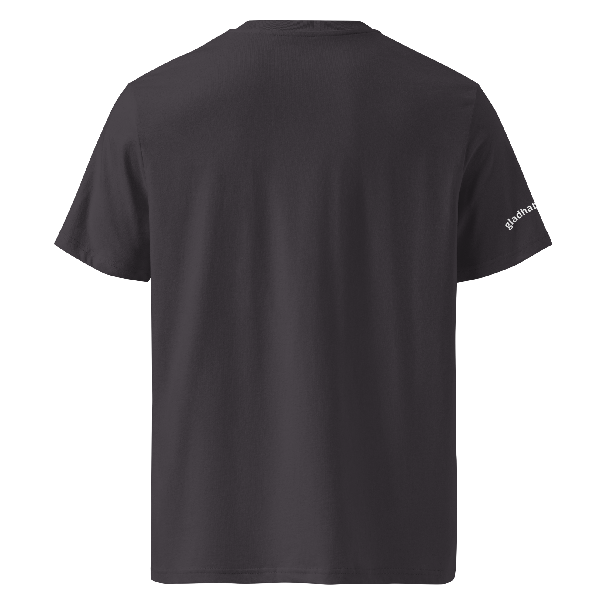 unisex-organic-cotton-t-shirt-anthracite-back-69658b6118e65.png