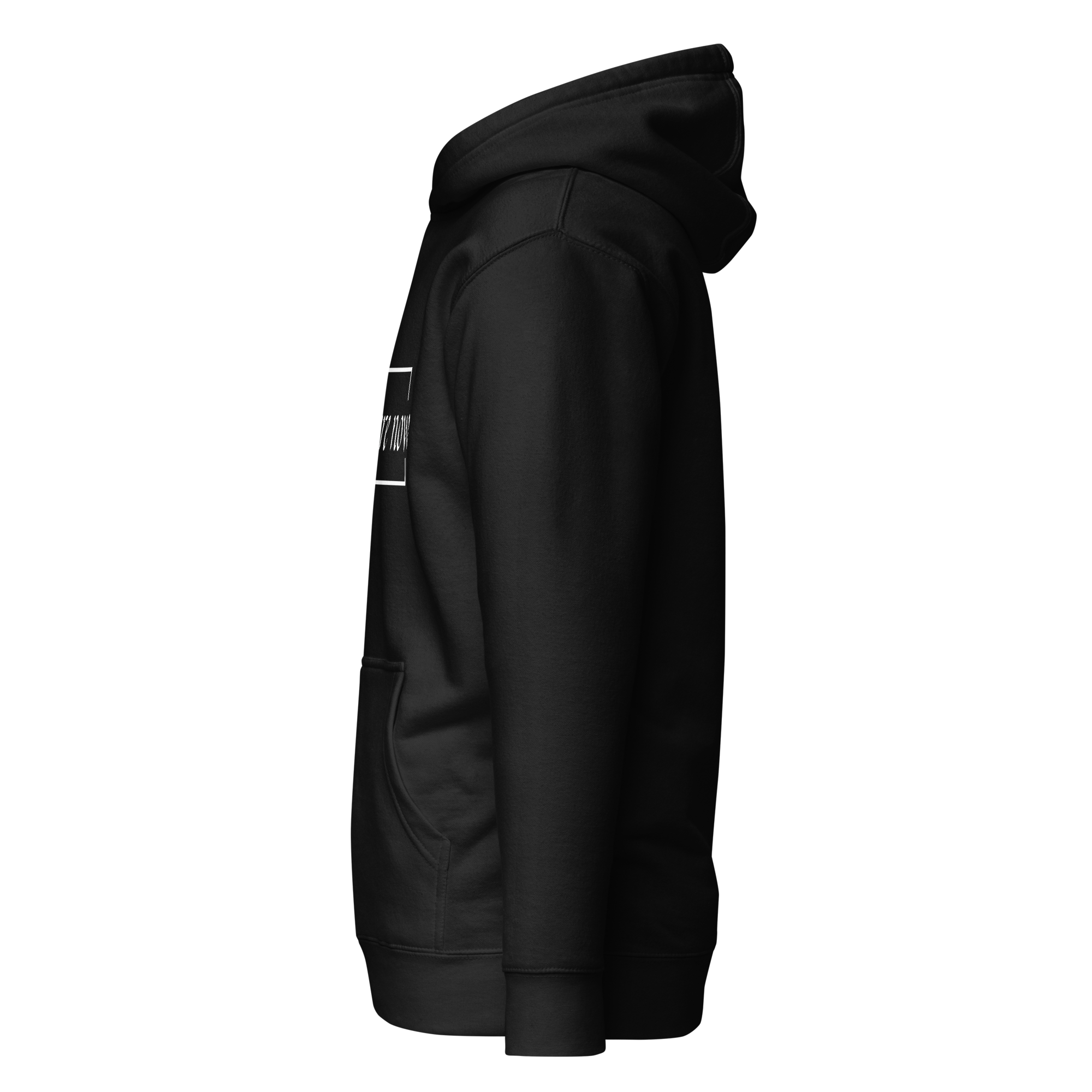 cotton-heritage-m2580-i-unisex-premium-pullover-hoodie-black-left-69658f4b2ef23.png
