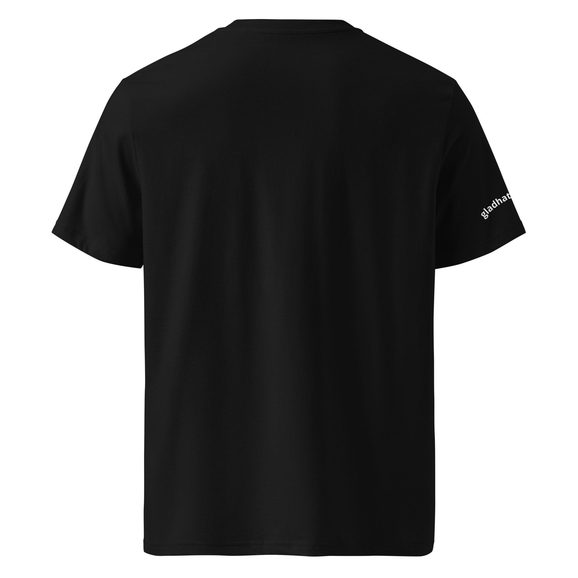 unisex-organic-cotton-t-shirt-black-back-69658b6118f2c.png