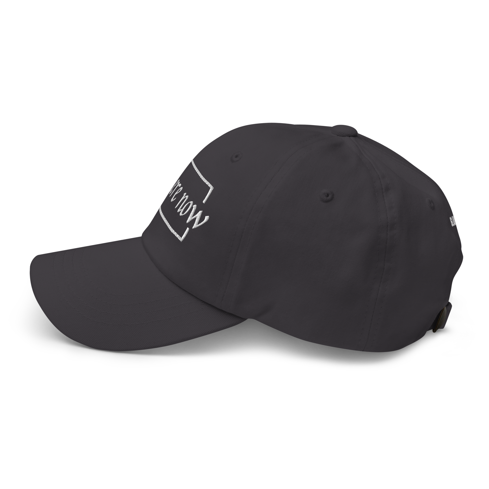 classic-dad-hat-dark-grey-left-side-6965885e1a1ff.png