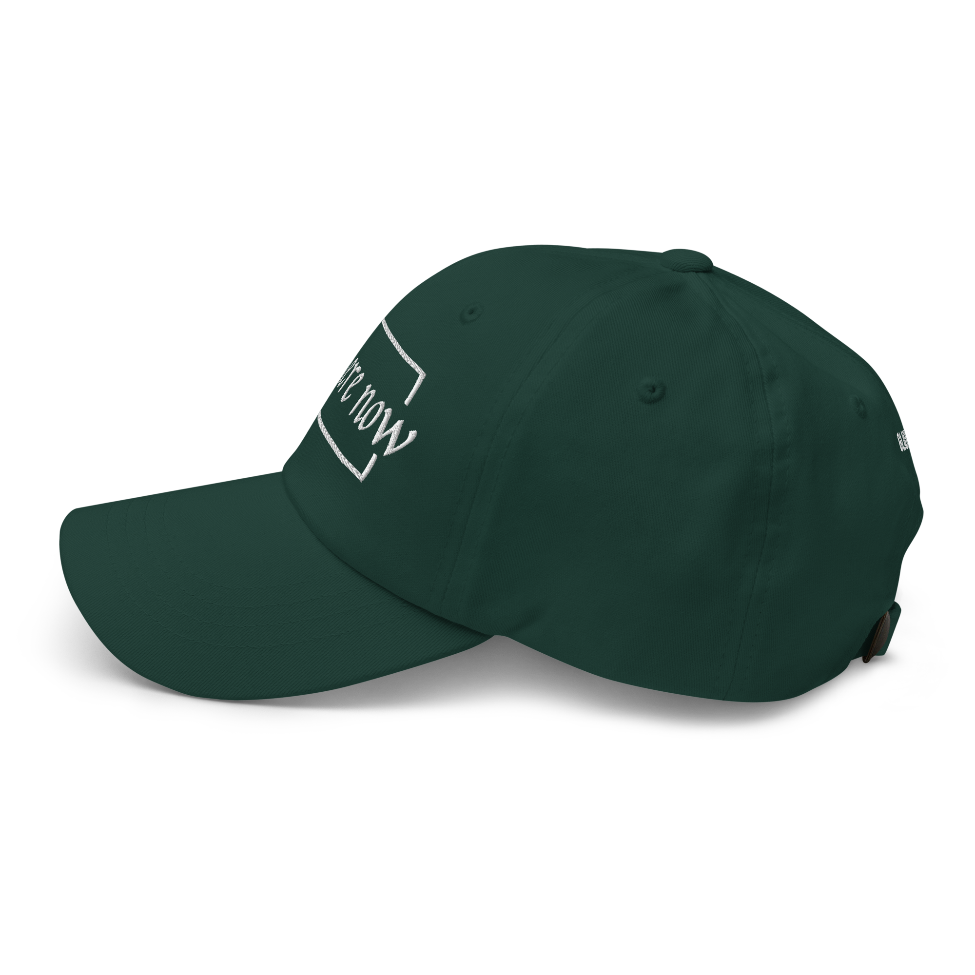 classic-dad-hat-spruce-left-side-6965885e1a35d.png