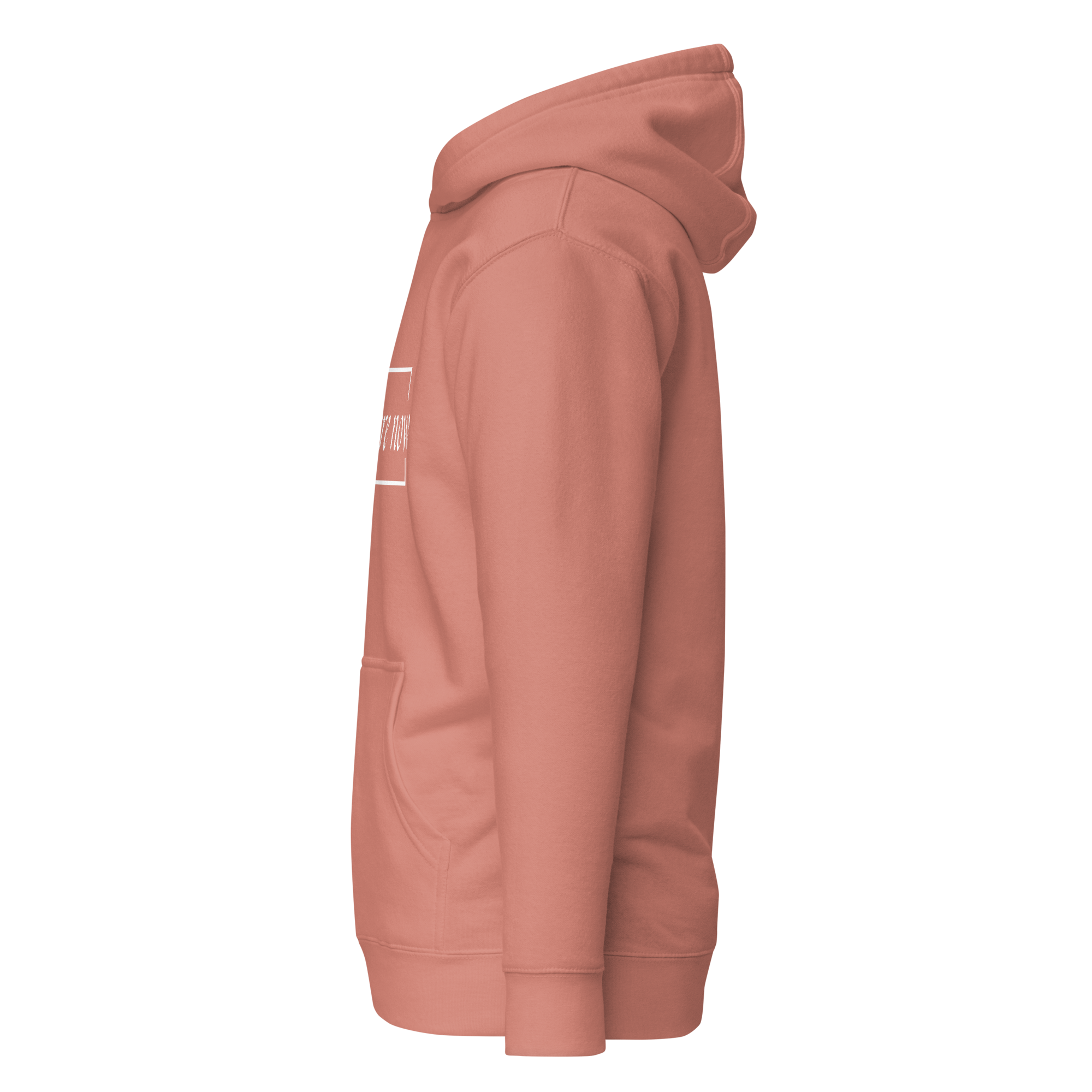 cotton-heritage-m2580-i-unisex-premium-pullover-hoodie-dusty-rose-left-69658f4b2eff4.png