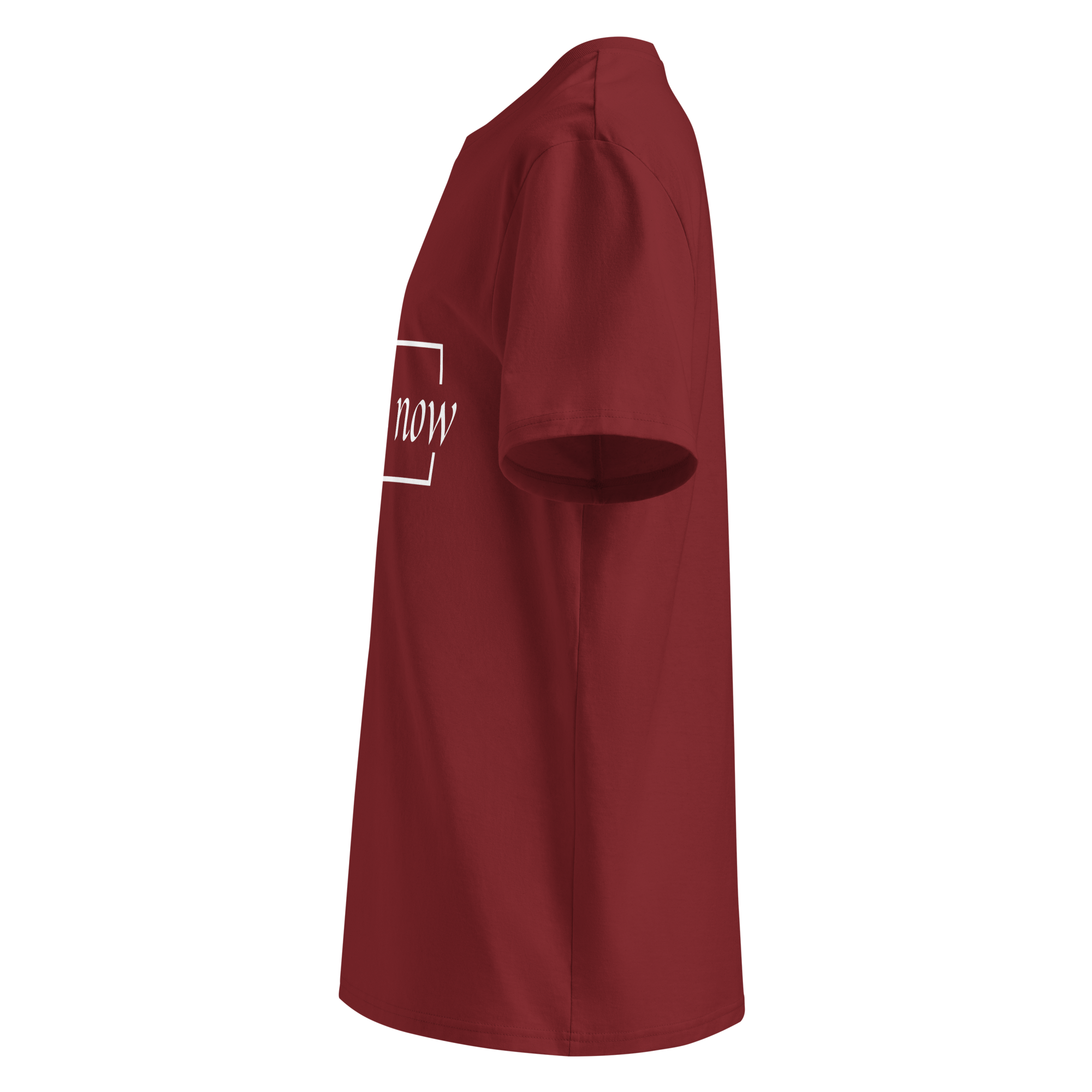 unisex-organic-cotton-t-shirt-burgundy-left-69658b6119896.png