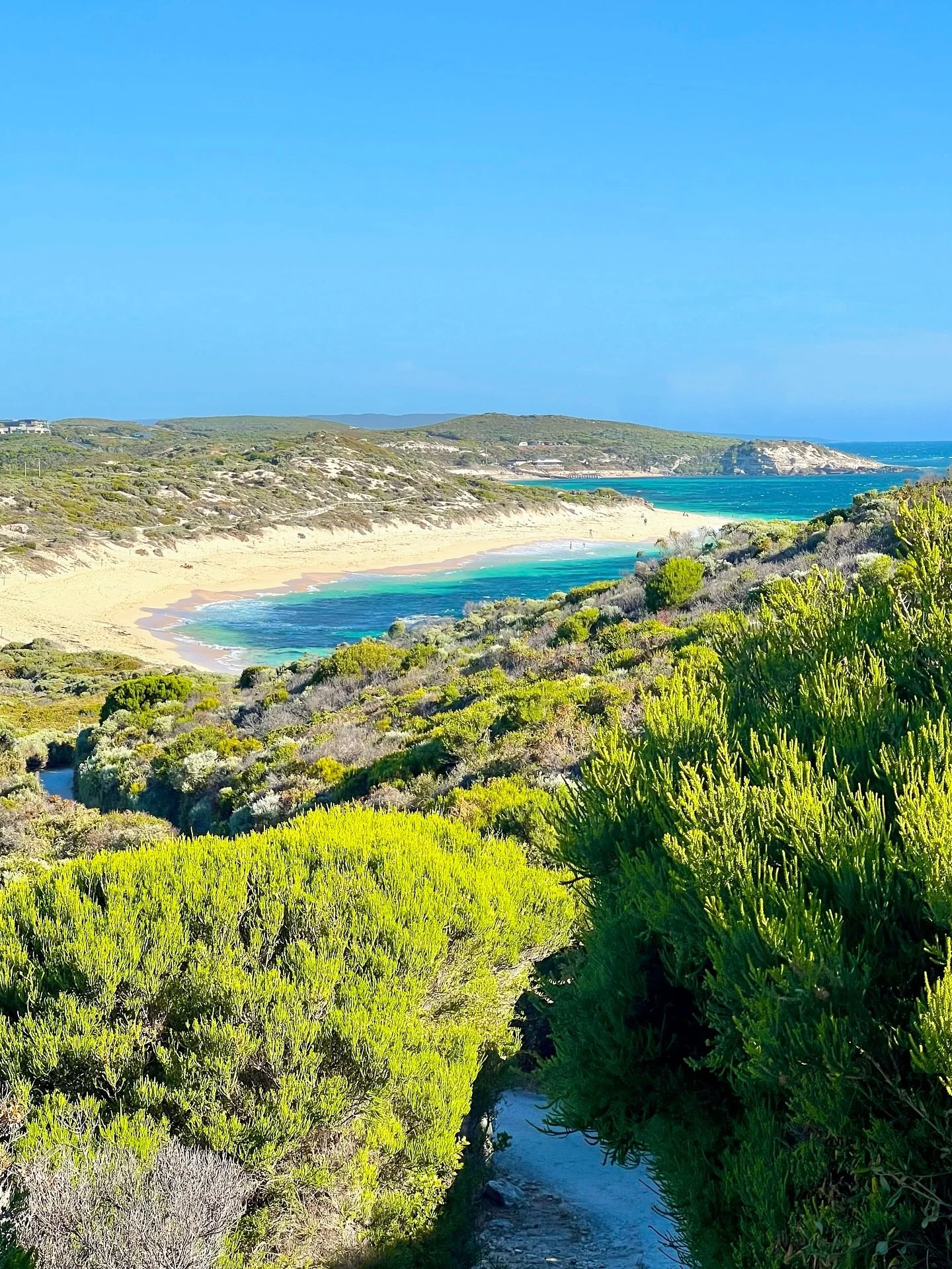 Golden southwest memories 🤠

The more time passes since leaving Australia, the more I find myself craving the life I had down south - the beautiful beach walks, veggie boxes on Tuesdays, nuzzling horse noses at work, line dancing on Thursdays, all t