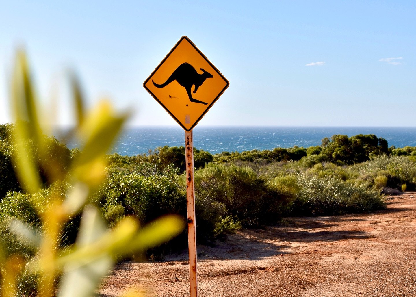the land down under ❤️&zwj;🩹

It&rsquo;s been over half a year in Western Australia already and I can&rsquo;t believe how fast time is flying by - half a year full of beautiful nature, hard work and a taste of routine.
There&rsquo;s still so much to