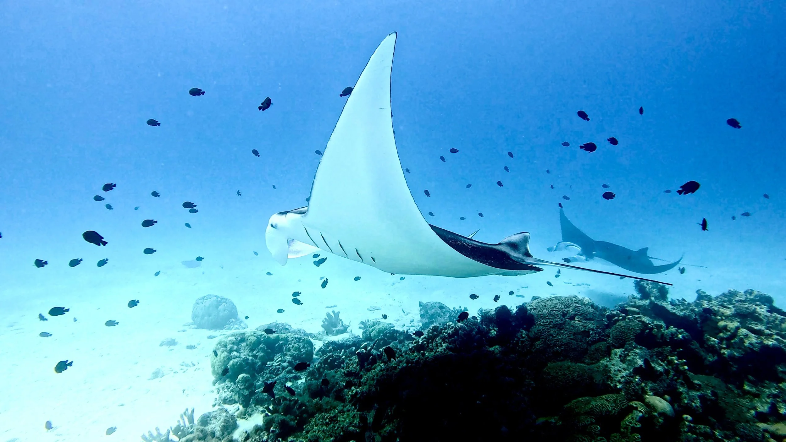 Cocos (Keeling) Islands