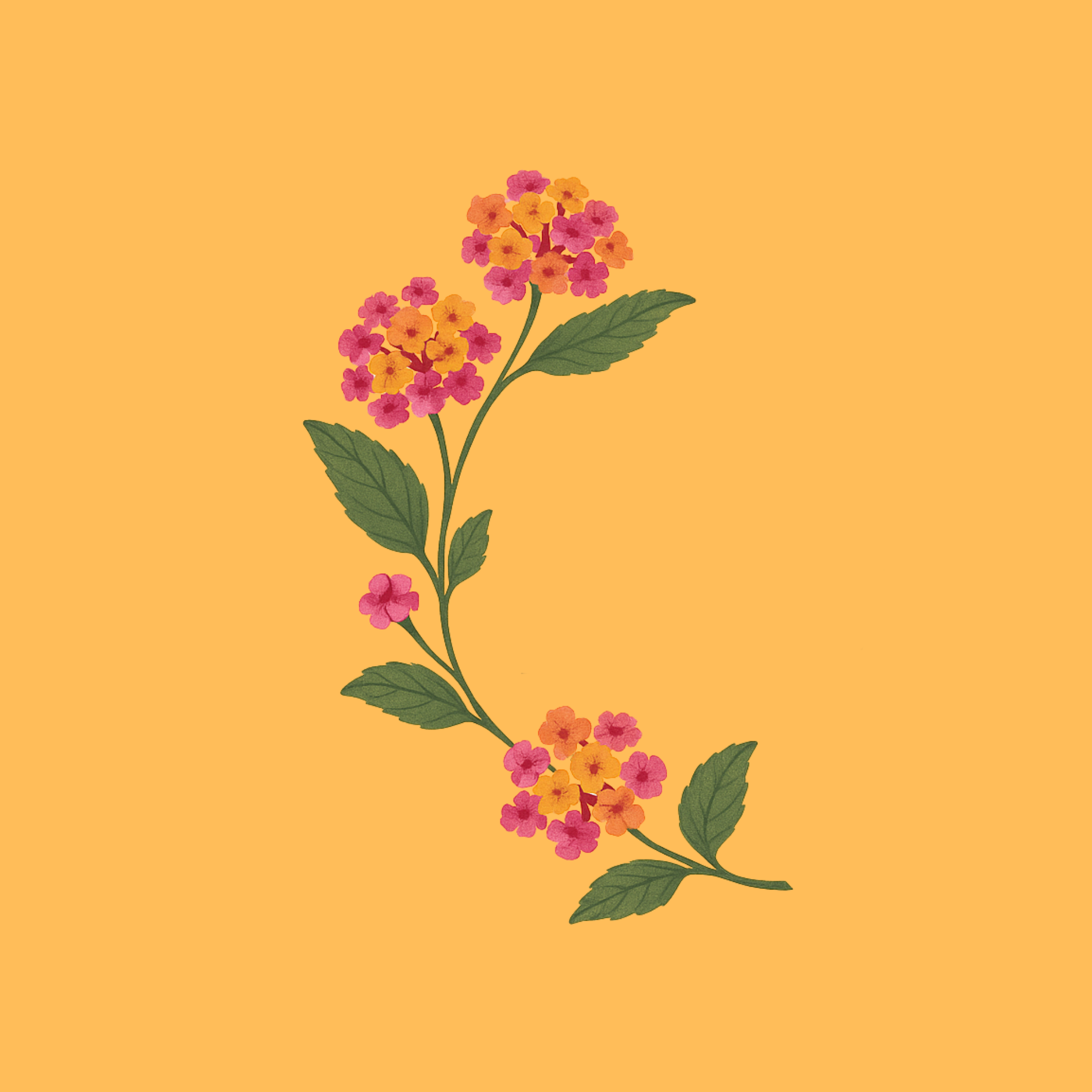 In-Person Consultation