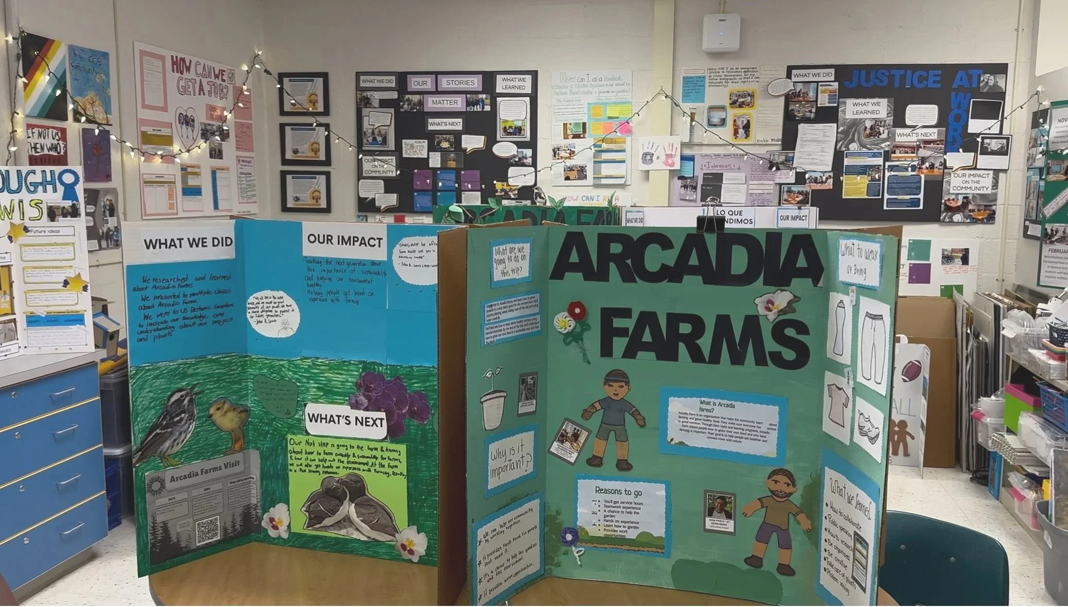 Printable: Resources for service project posters and trifolds used by Lewis Leadership Program students