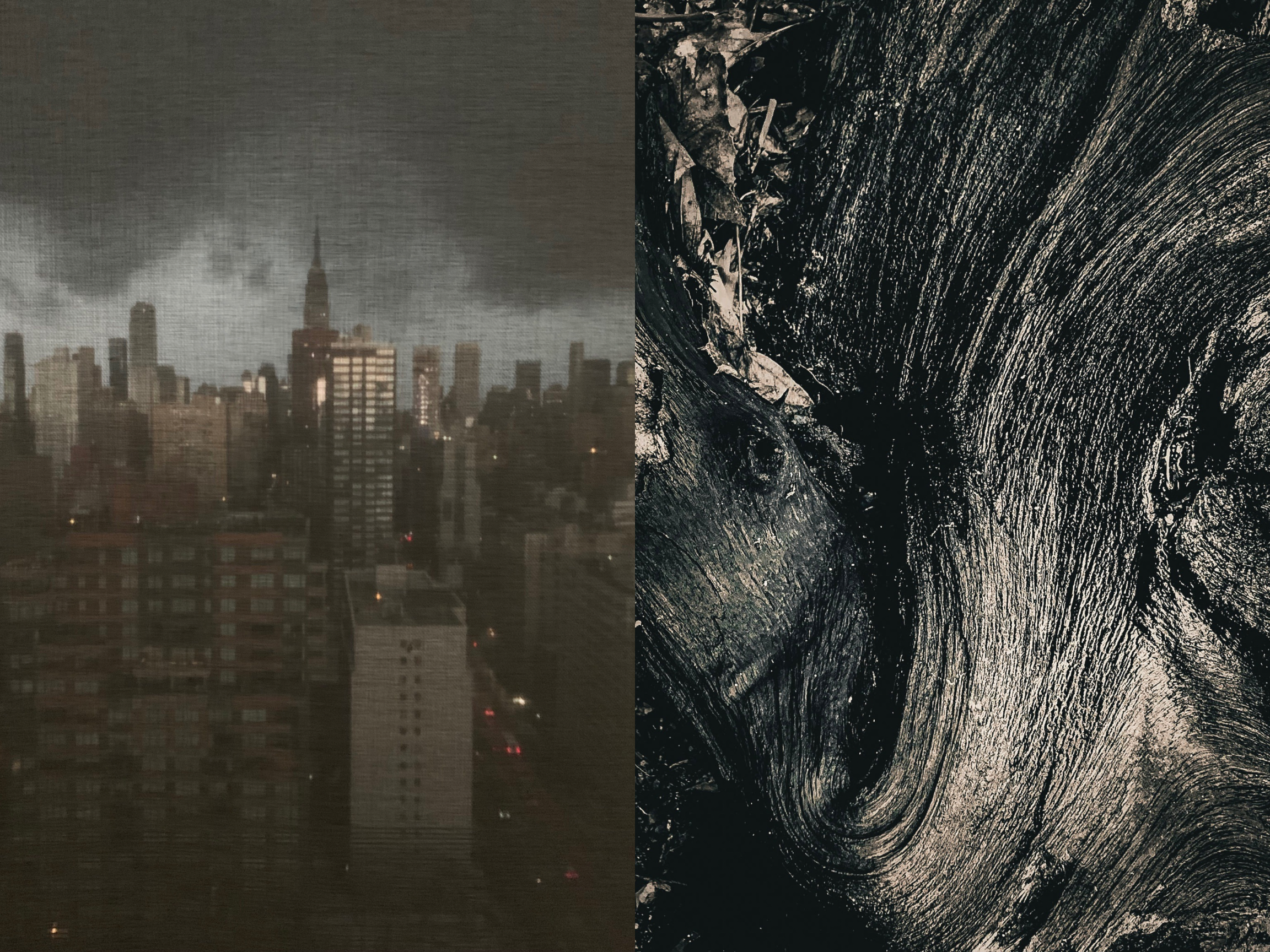 Finding strength - Pigment print on archival
Hahnemuhle fine art paper - Diptych - Two 18”x24”