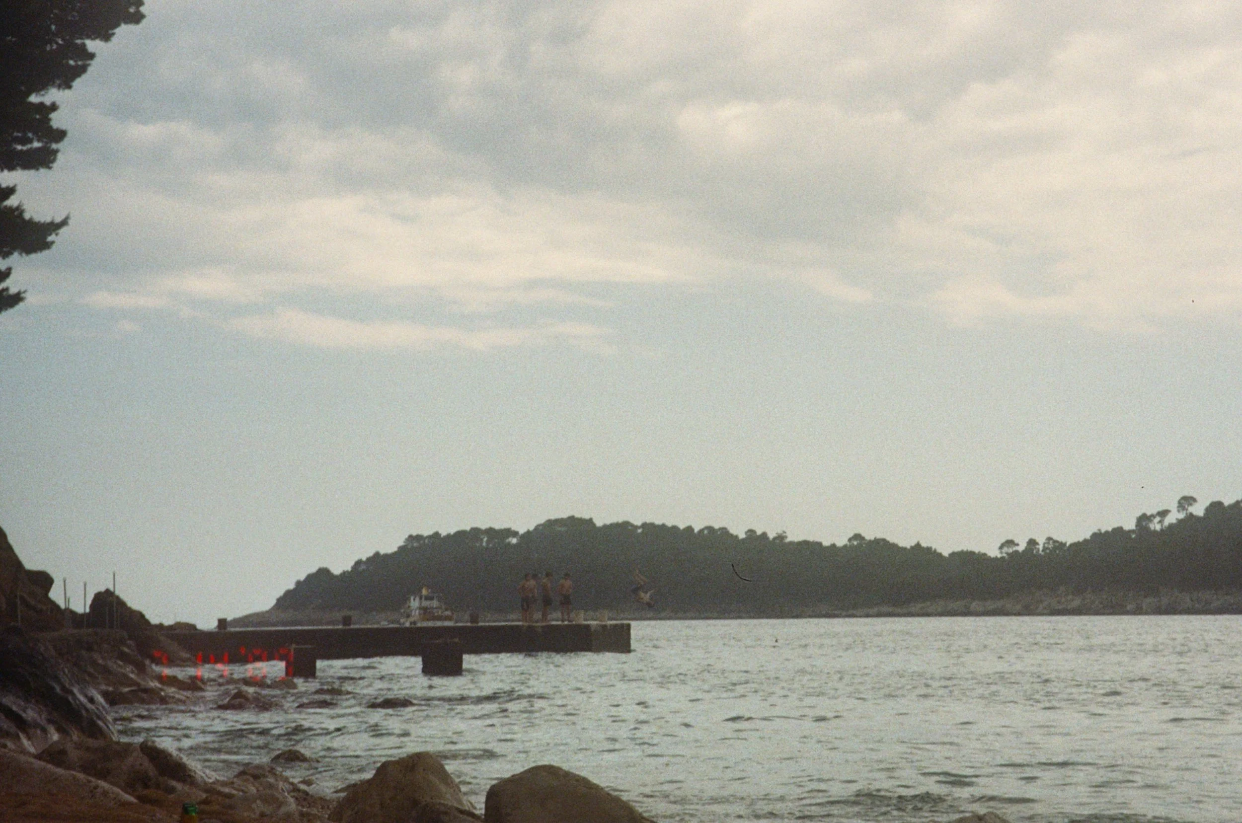 A4F307C5-E879-492F-9E19-B0CB963EAC0D.JPG
