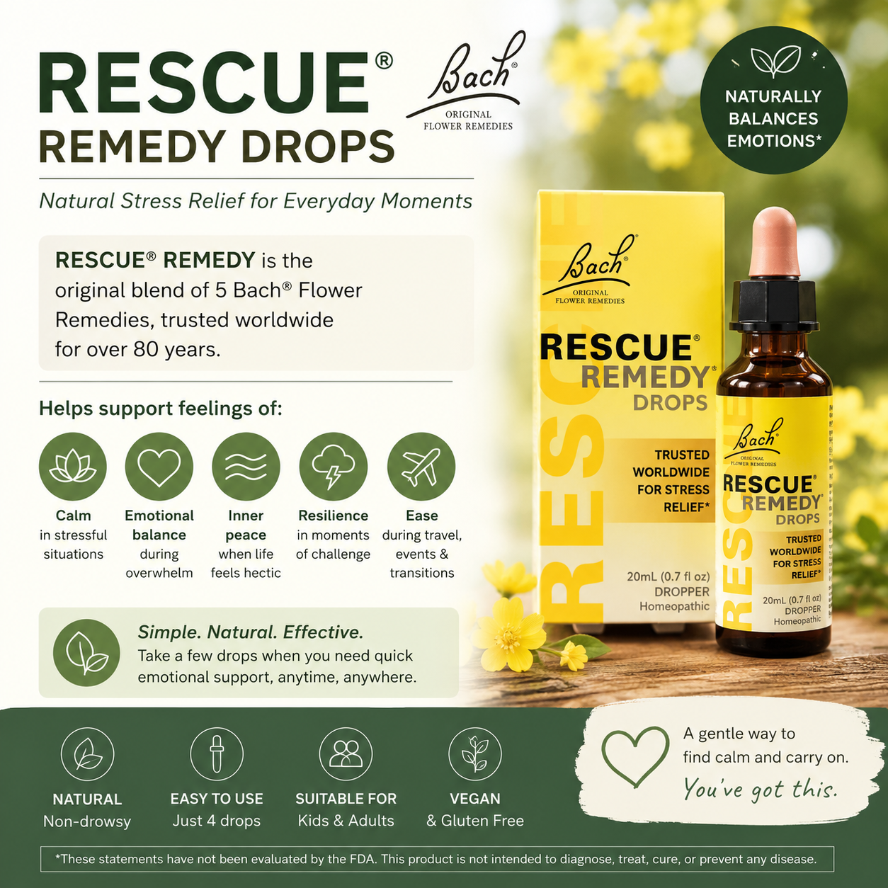 What Are Bach Flower Remedies? A Gentle Introduction to Emotional Wellness Support
