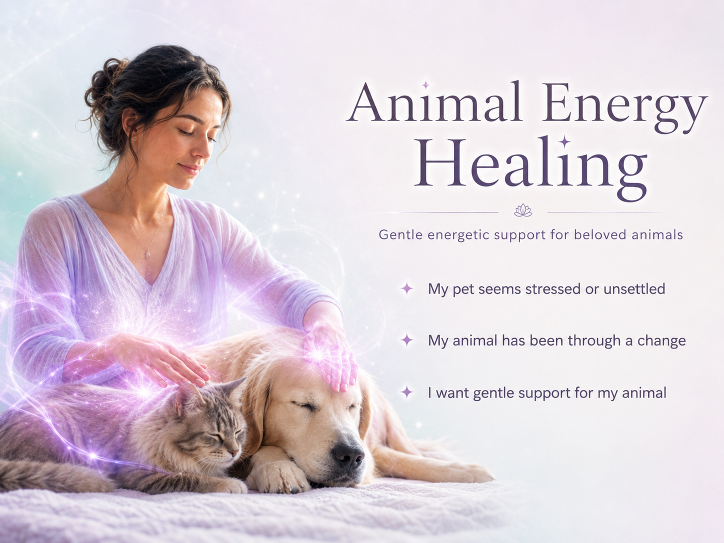 Animal Energy Healing for your pet to help with stress, life changes, physical issues