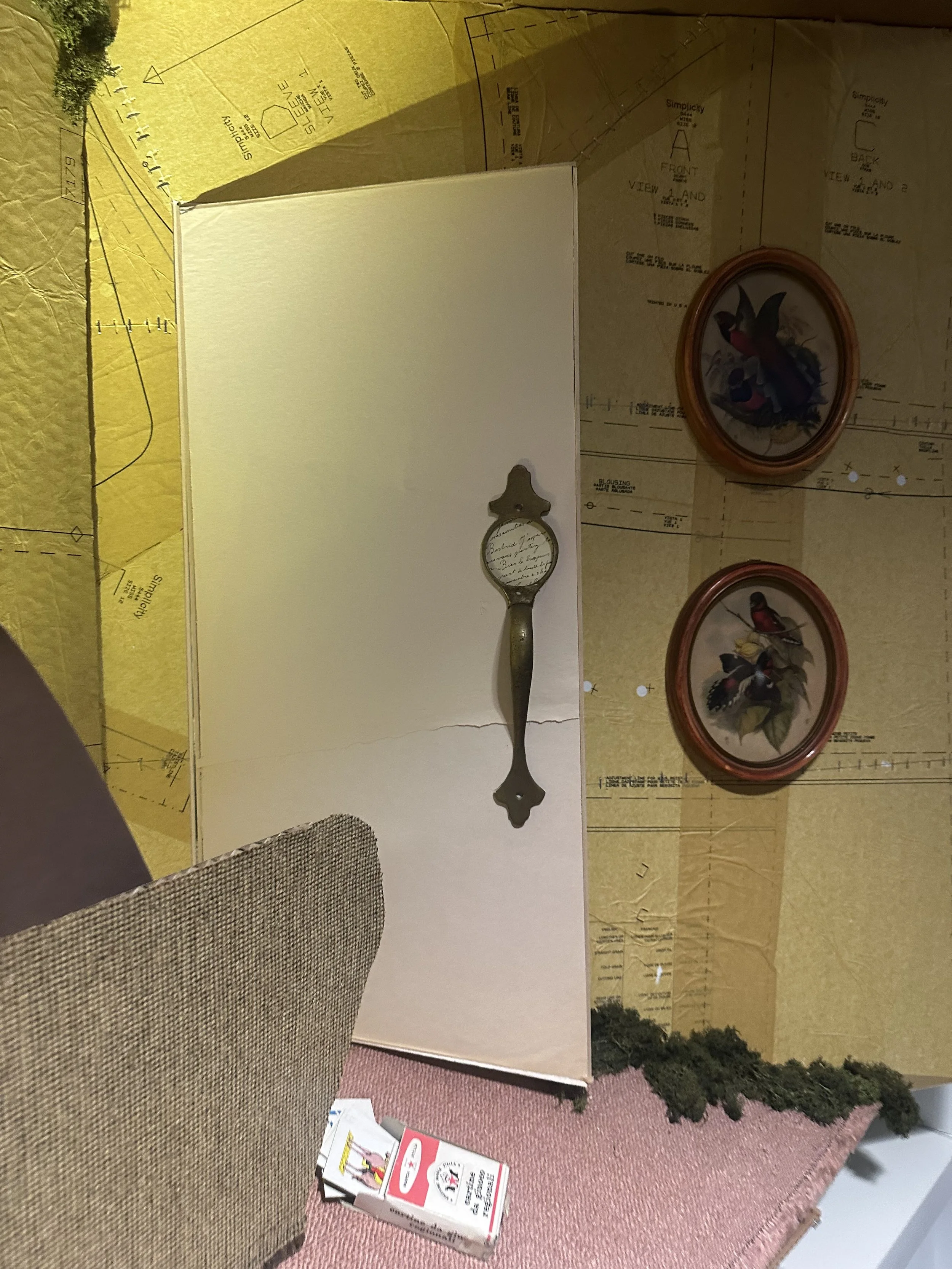 IMG_1985.jpeg