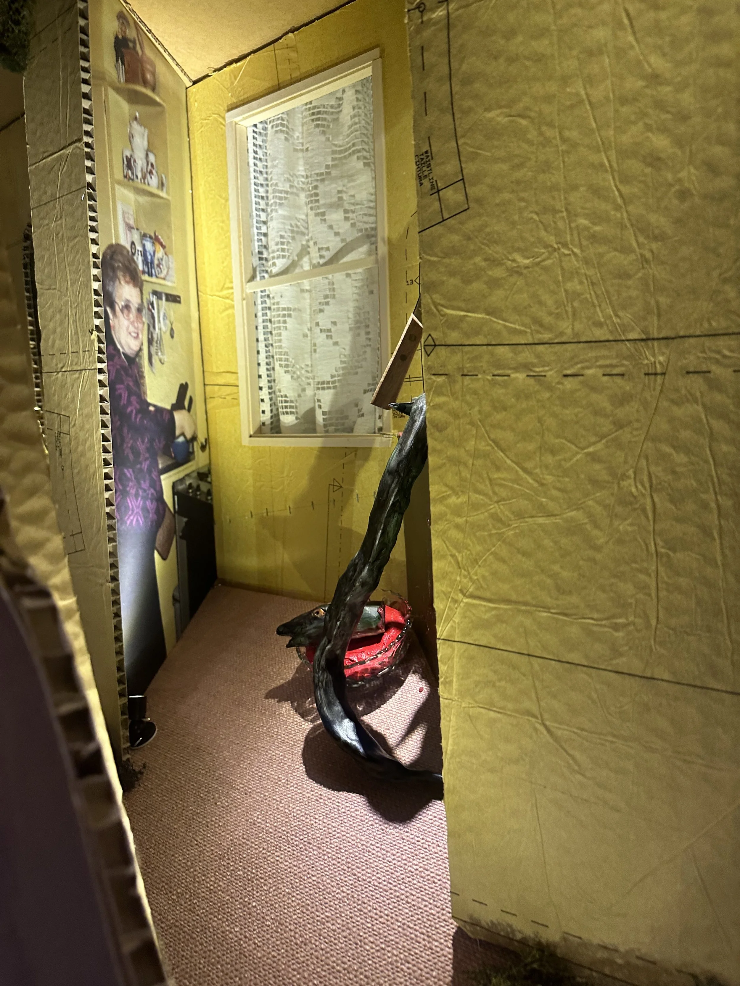 IMG_1976.jpeg