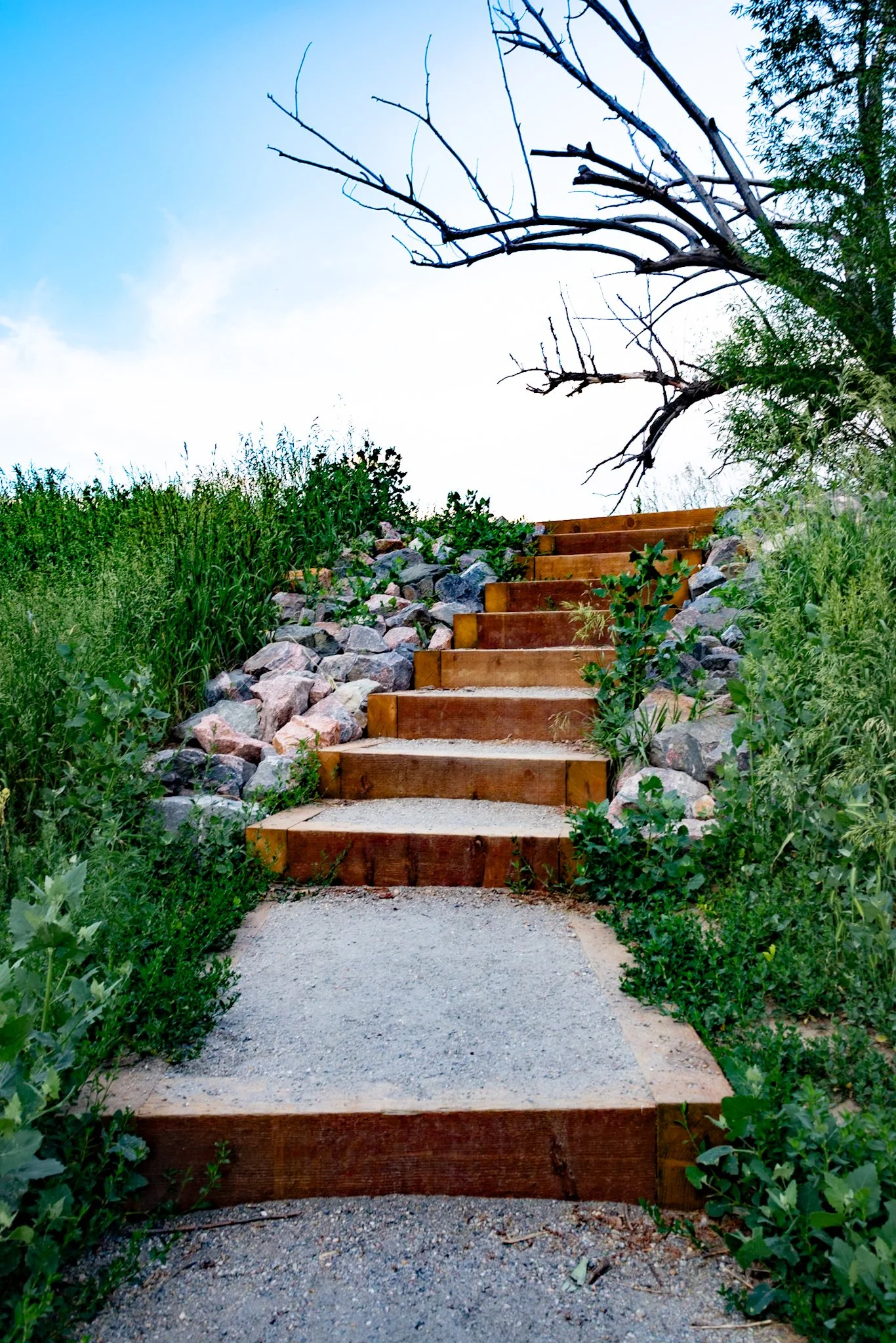 Wooden stairs leading up a grassy hillside with rocks on either side, a leafless tree branch overhead, and a partly cloudy sky in the background.