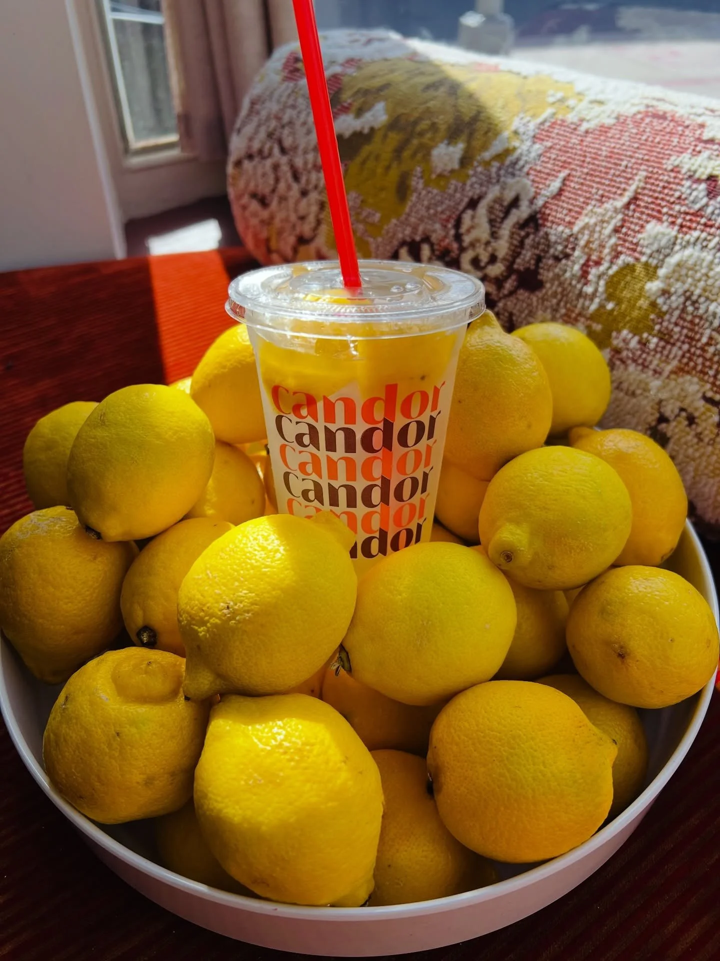 fresh lemons and organic cane sugar, shaken county-fair style with filtered water and a heap of ice. 

make your sweet treats do double duty for you this summer! stay hydrated &amp; cool with our fresh squeezed lemonade 🍋🐦&zwj;⬛, made to order behi
