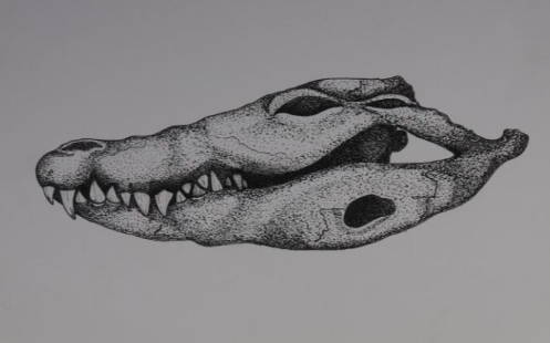 Screenshot 2025-12-09 120131.png