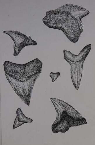 Screenshot 2025-12-09 120157.png