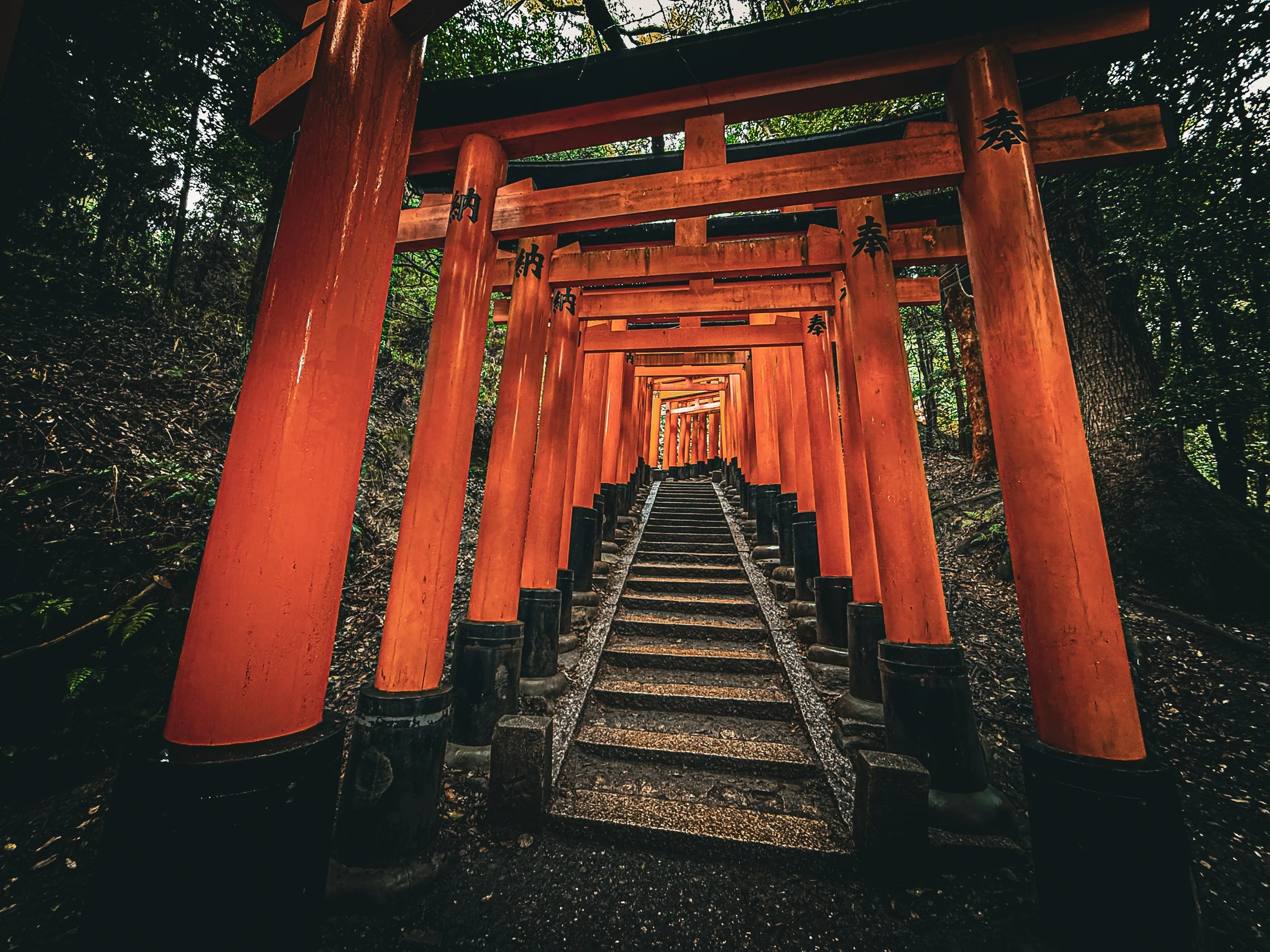 Land of the Rising Sun: A Visual Journey