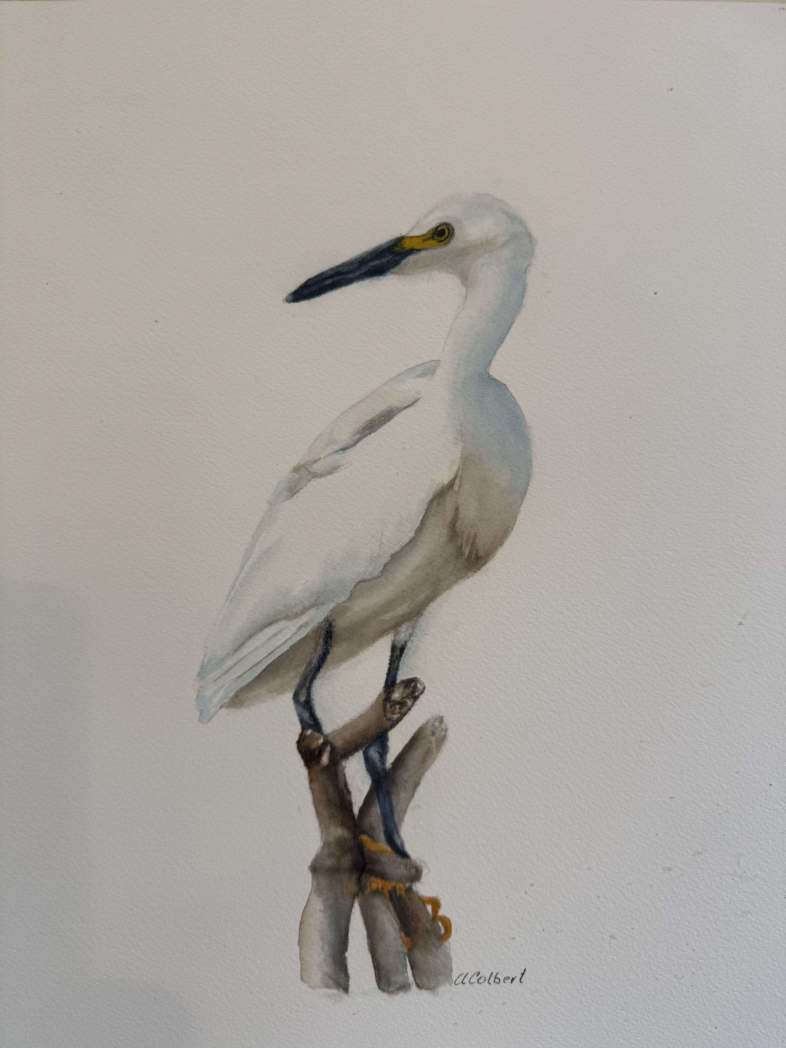 Egret looking over shoulder, standing on driftwood, in soft watercolor style