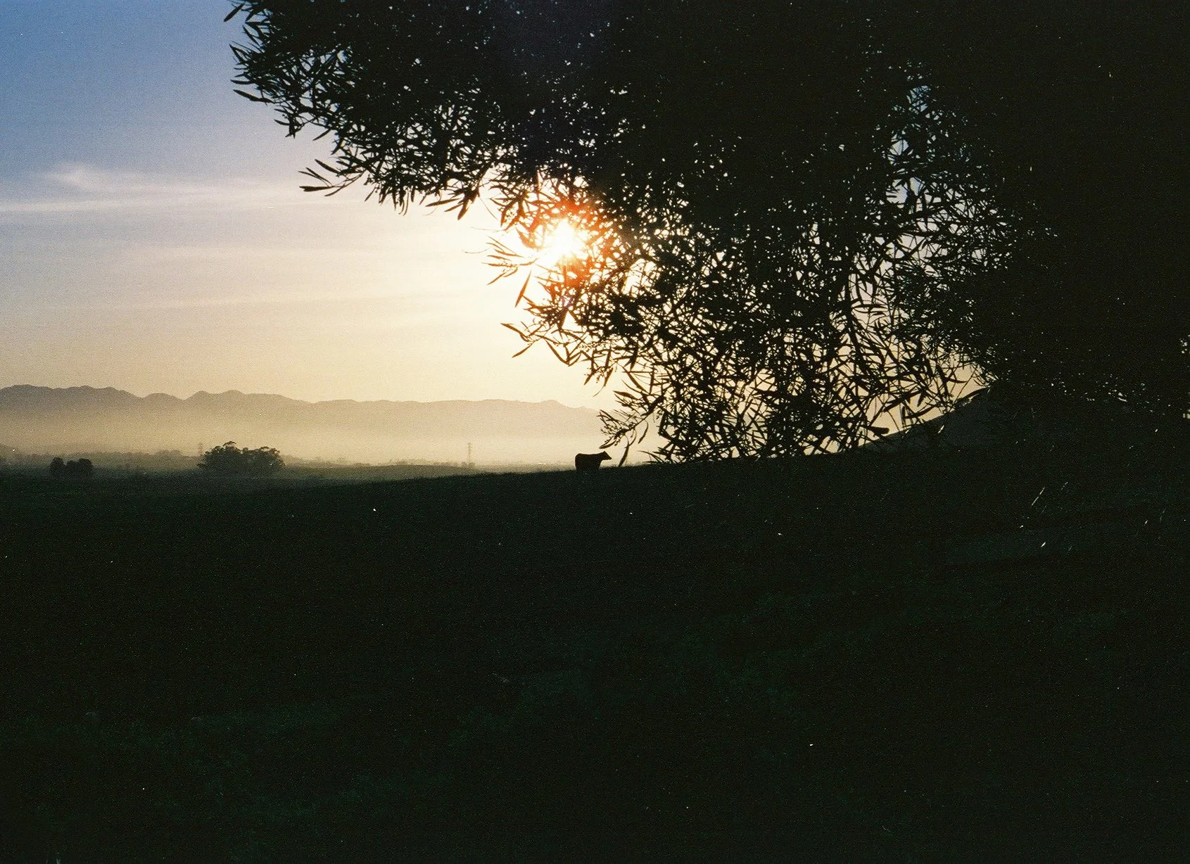 R1-05266-0027 cropped.JPG