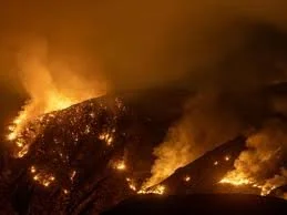 Rising From the Ashes After Natural Disaster