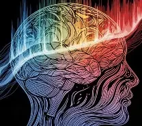 Distorted Minds Behind Locked Doors: The Foster Care System From My Eyes