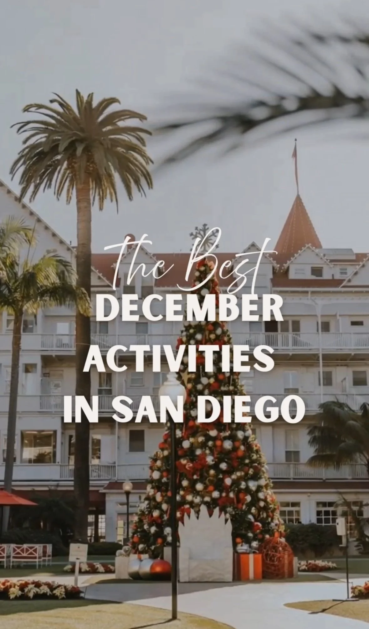 The Best December Activities in San Diego