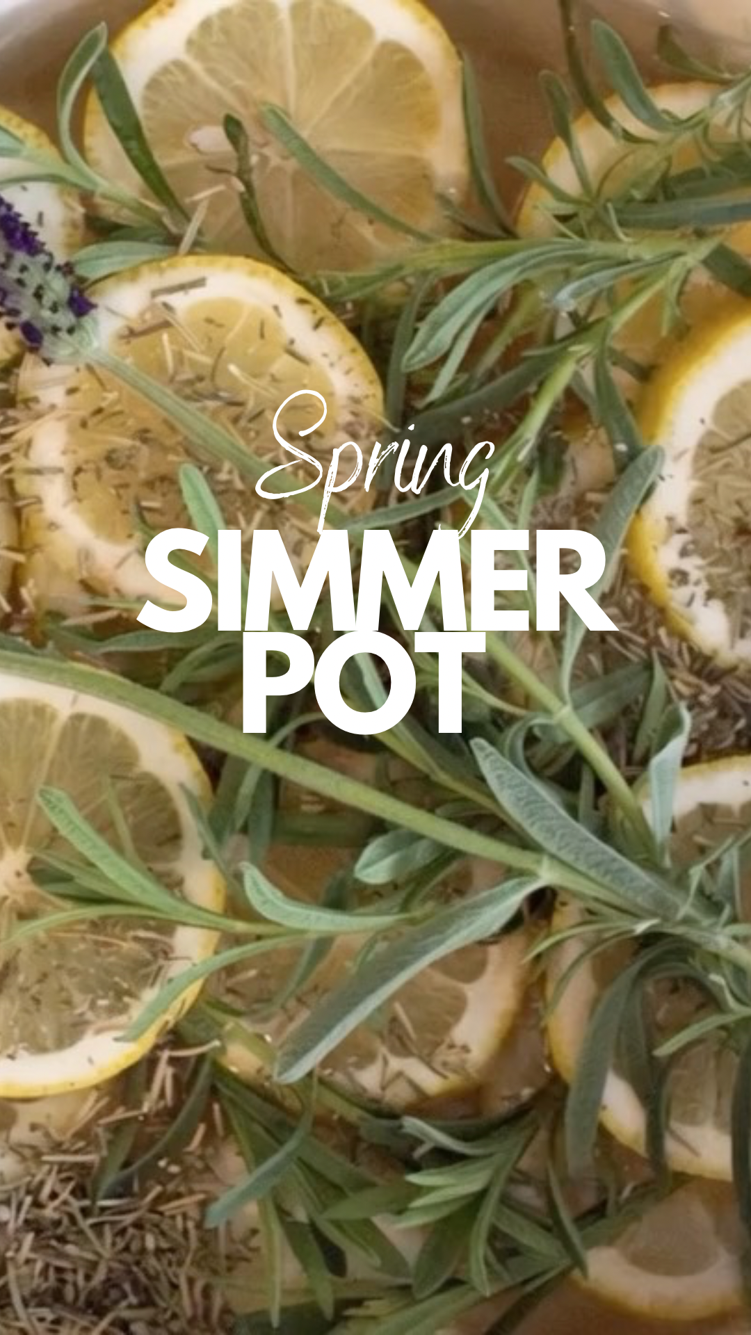 Spring Simmer Pot 