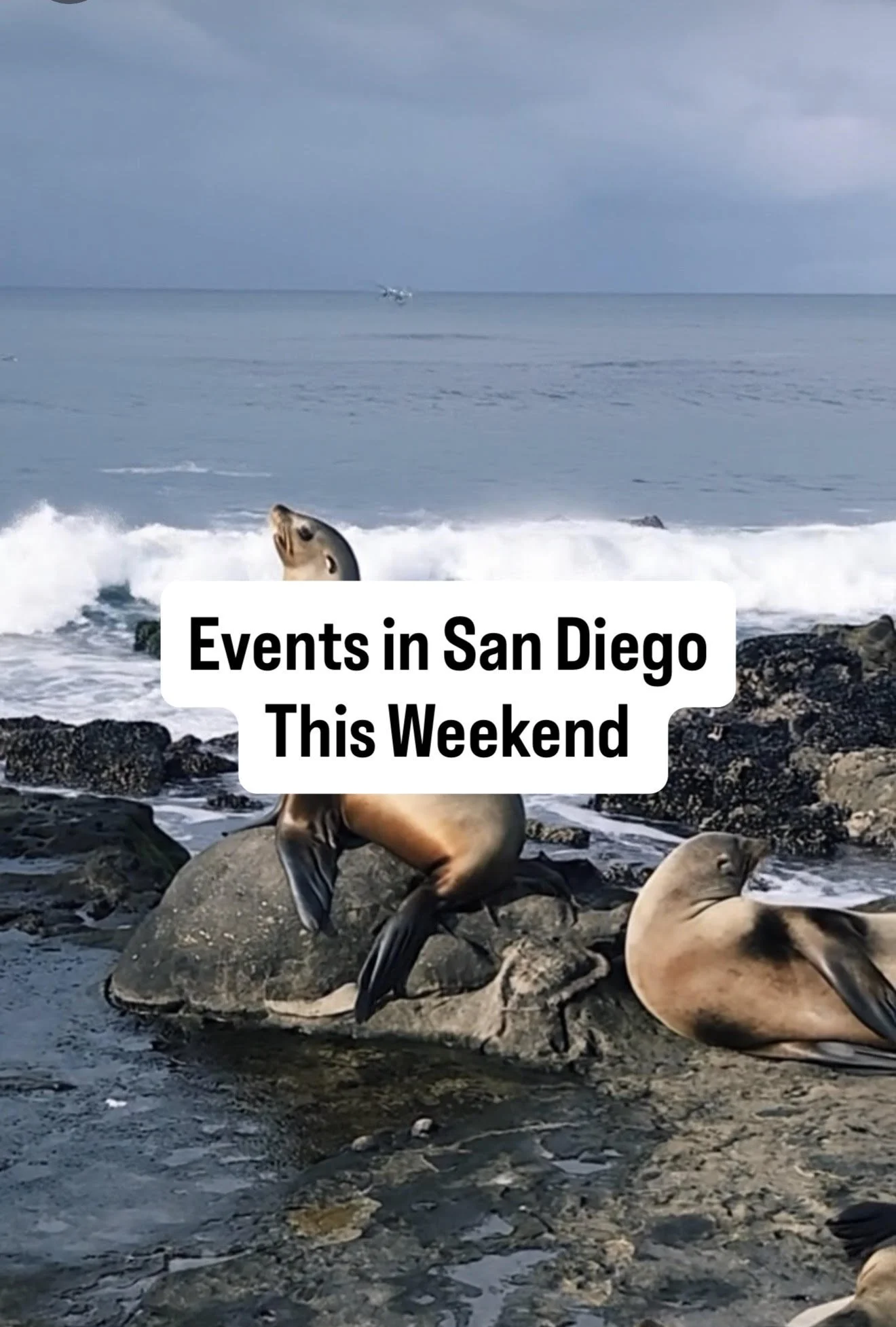 Events this Weekend