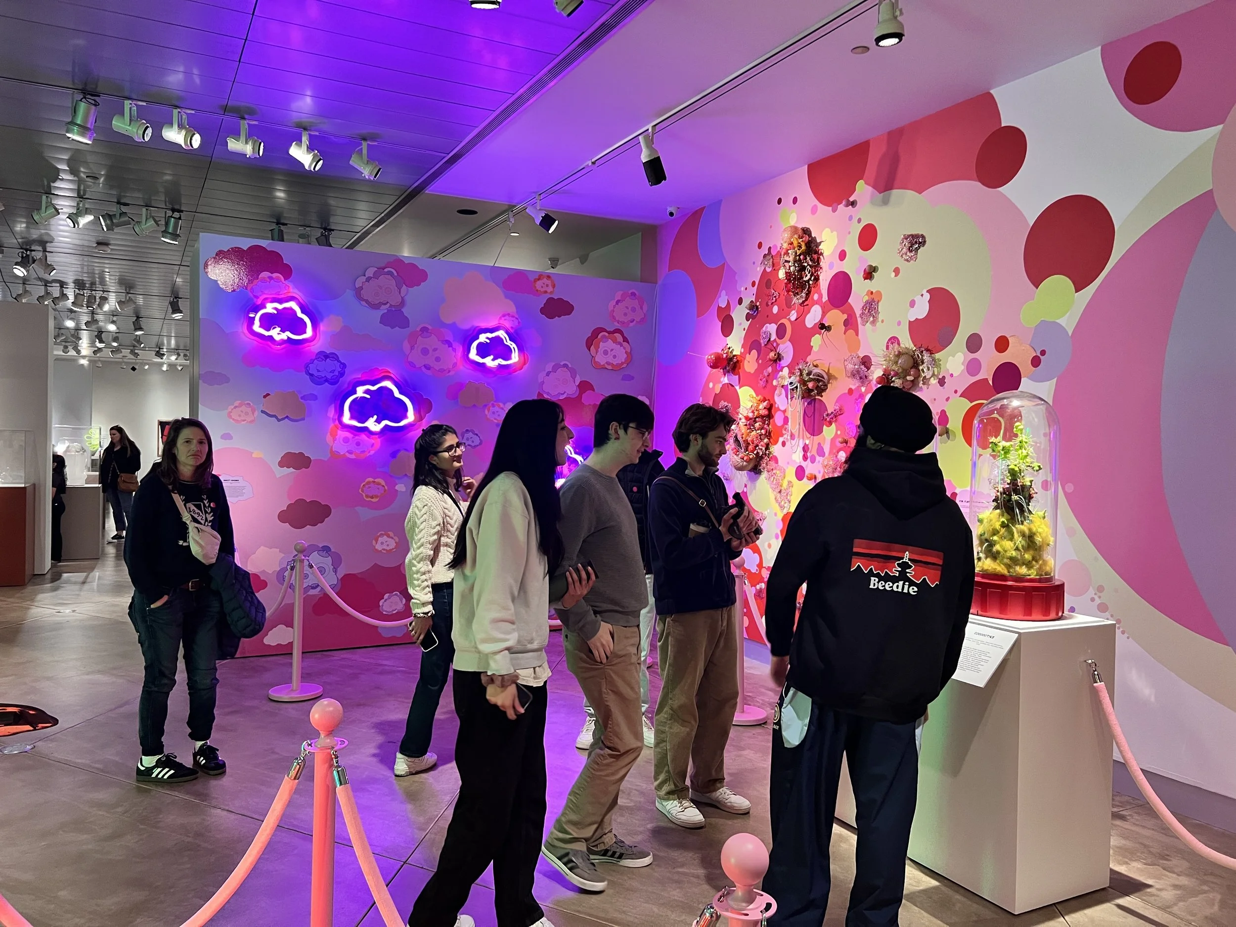 People standing in line at an art exhibit featuring a colorful, abstract wall with pink, red, and purple circular patterns, illuminated neon cloud shapes, and a glass display case with a floral arrangement.
