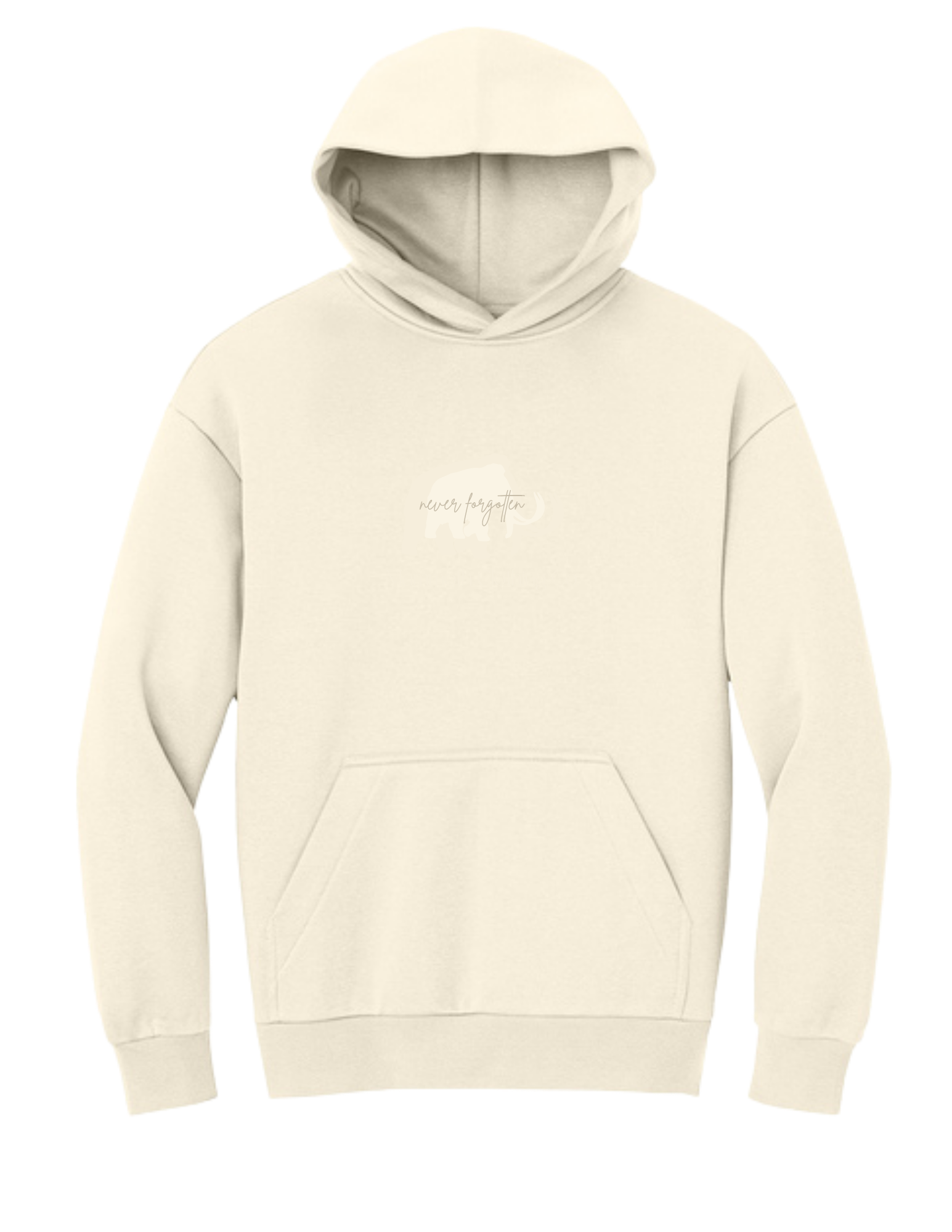 Heavyweight Antonio Hoodie