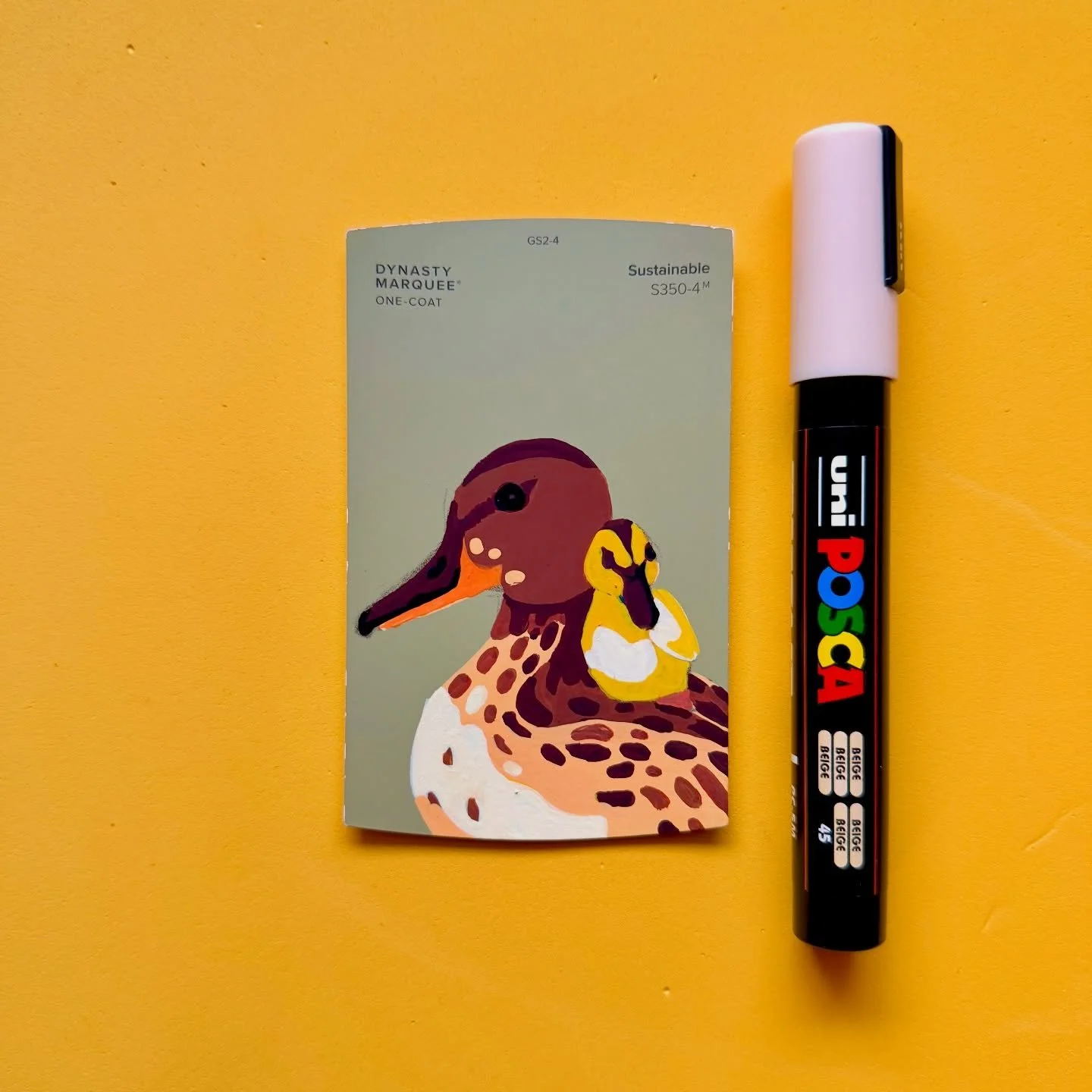 QUACK QUACK! 💛🦆🐤