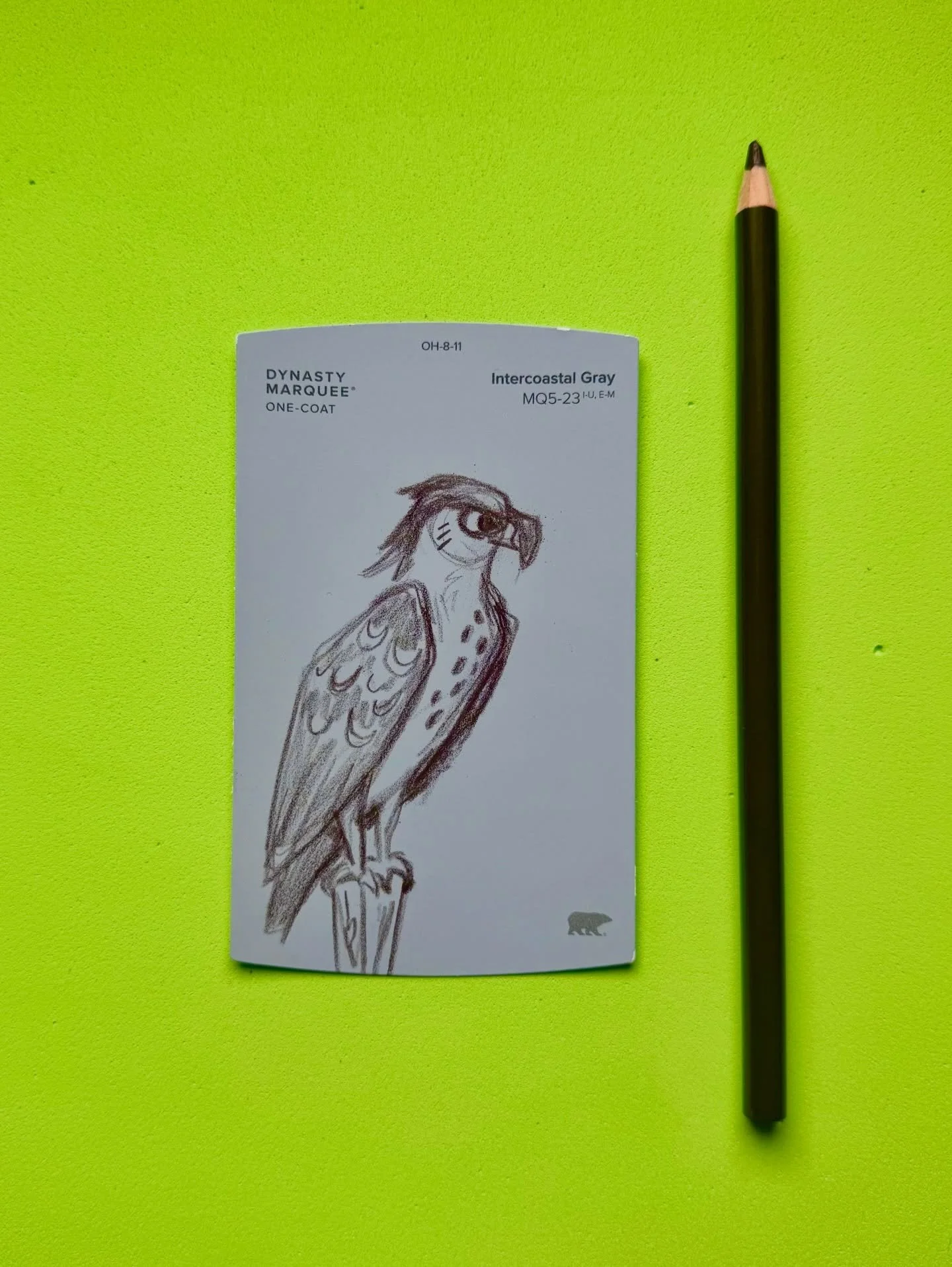 The sketch vs the inspiration 🦅
- 
I could&rsquo;ve watched them fly all day 😍