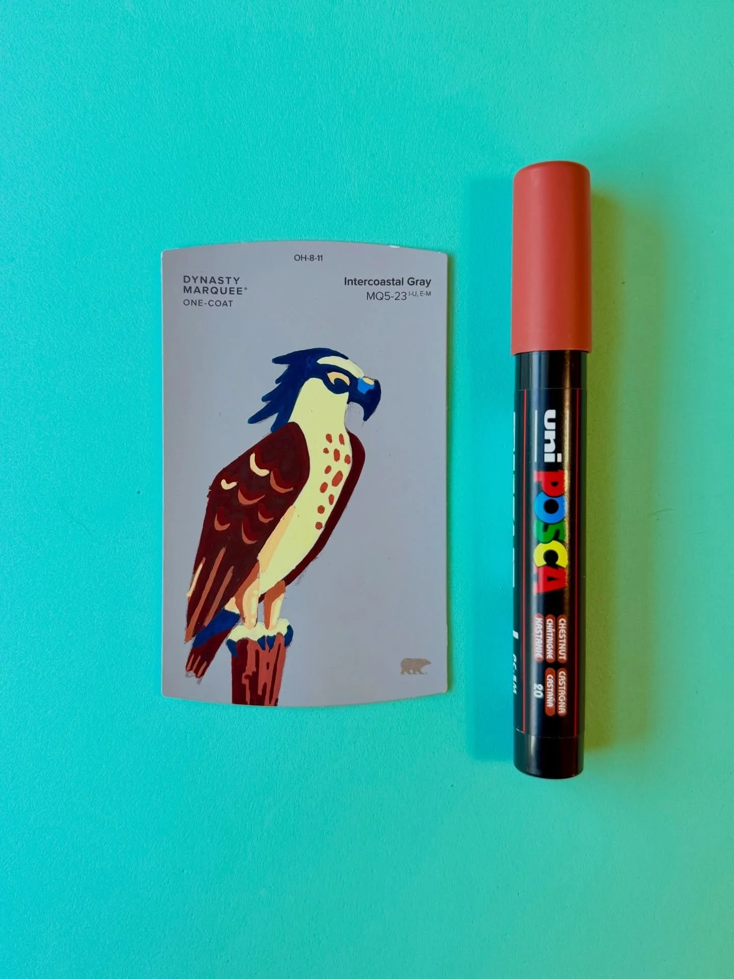 Osprey 🦅