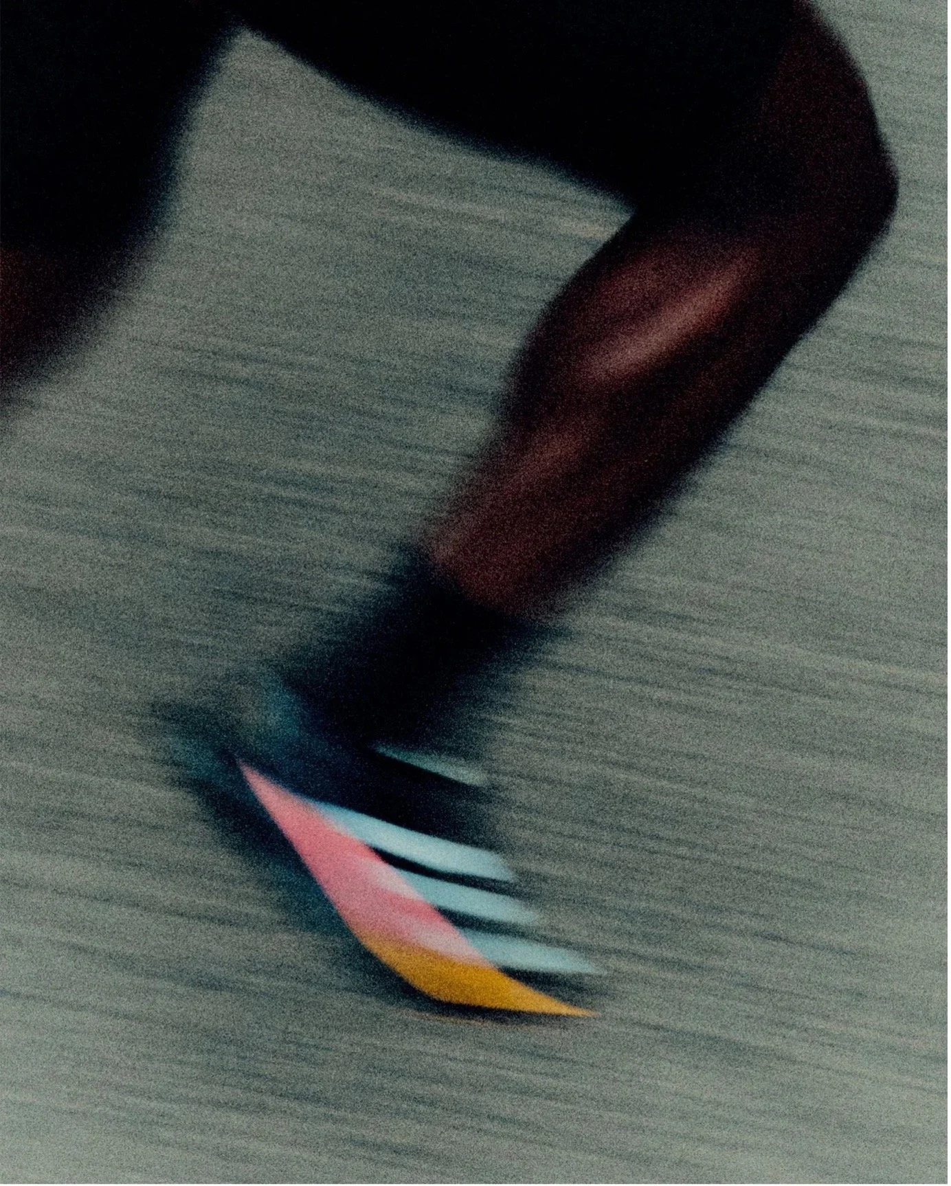 Picture 4.jpg