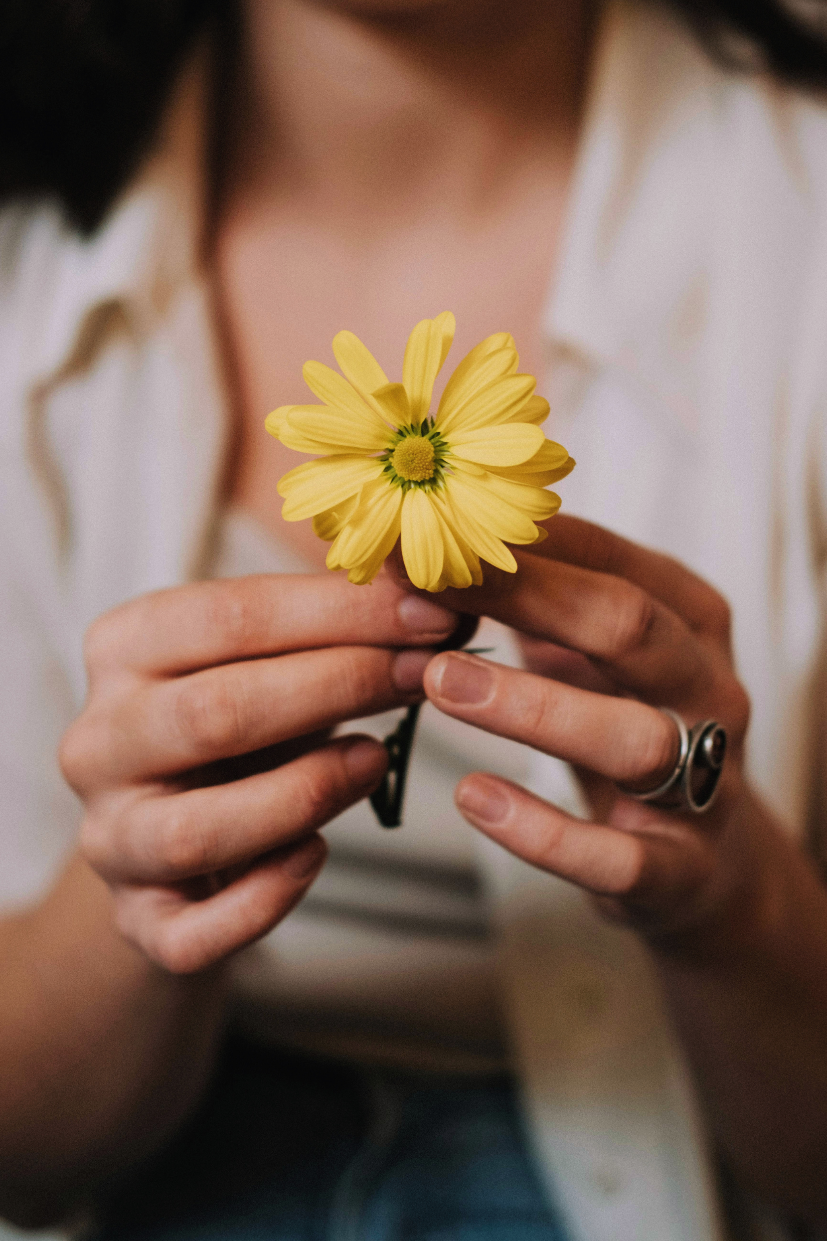 Person holding a yellow flower close to the camera, wearing a white shirt with blurred background.