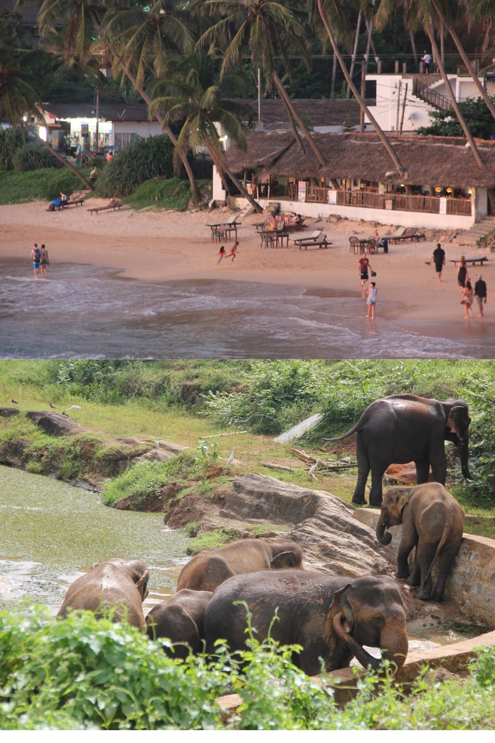 Best Time to Visit Sri Lanka (with Surf Season Guide)