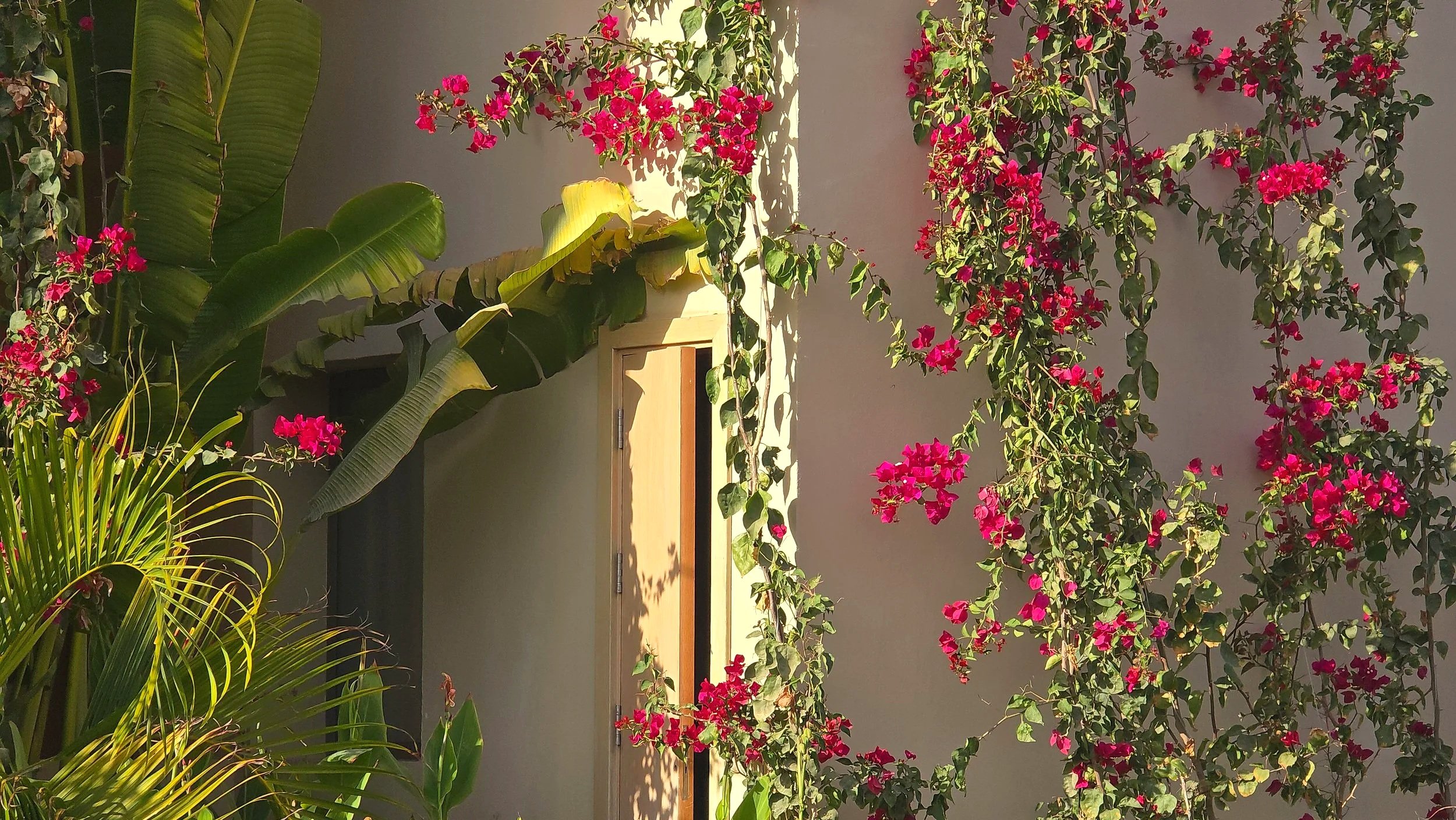 Jaz Elite Riviera Hotel_Marsa Alam_Egypt