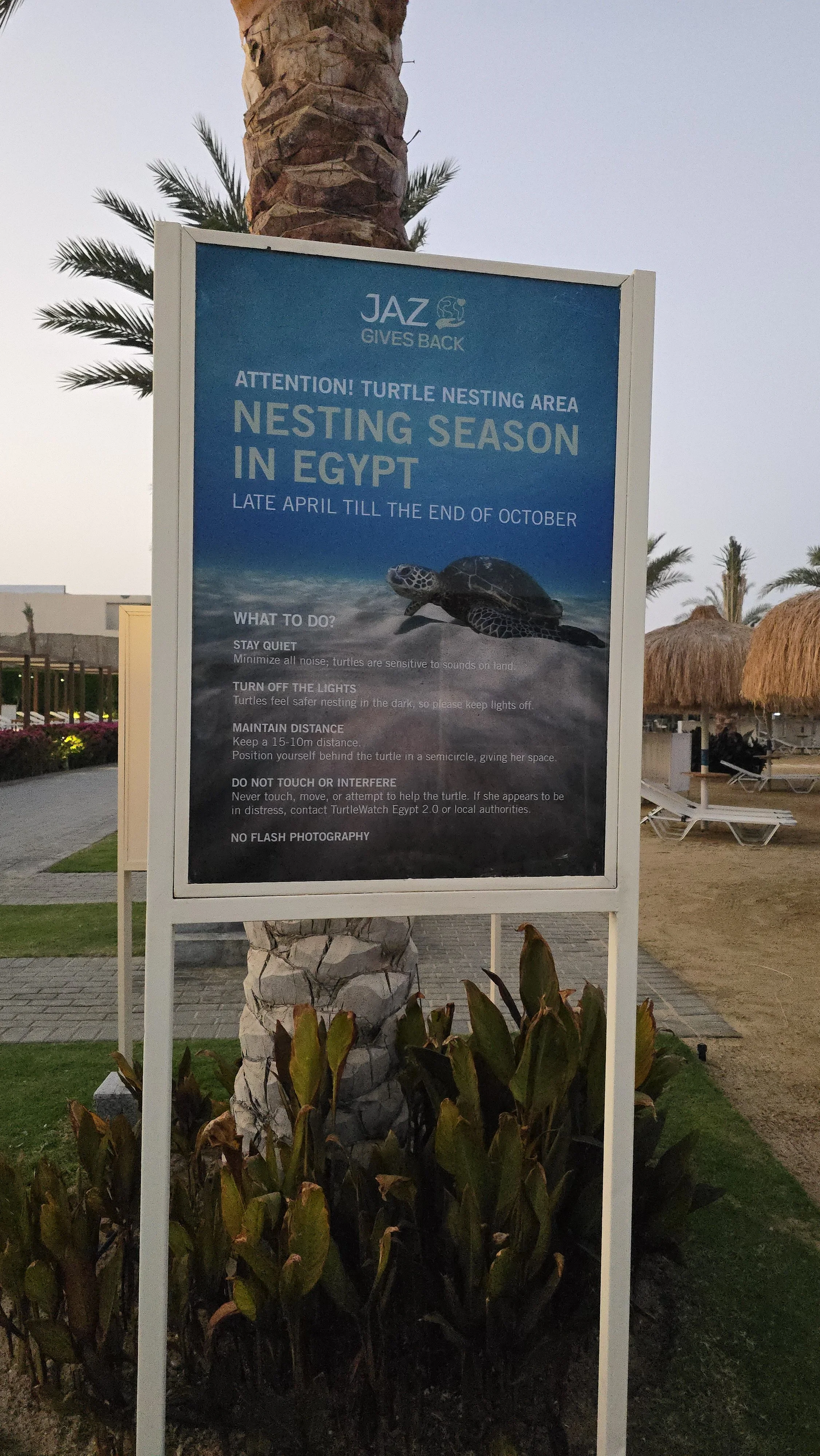 Reef protection in Marsa Mubarak.jpg