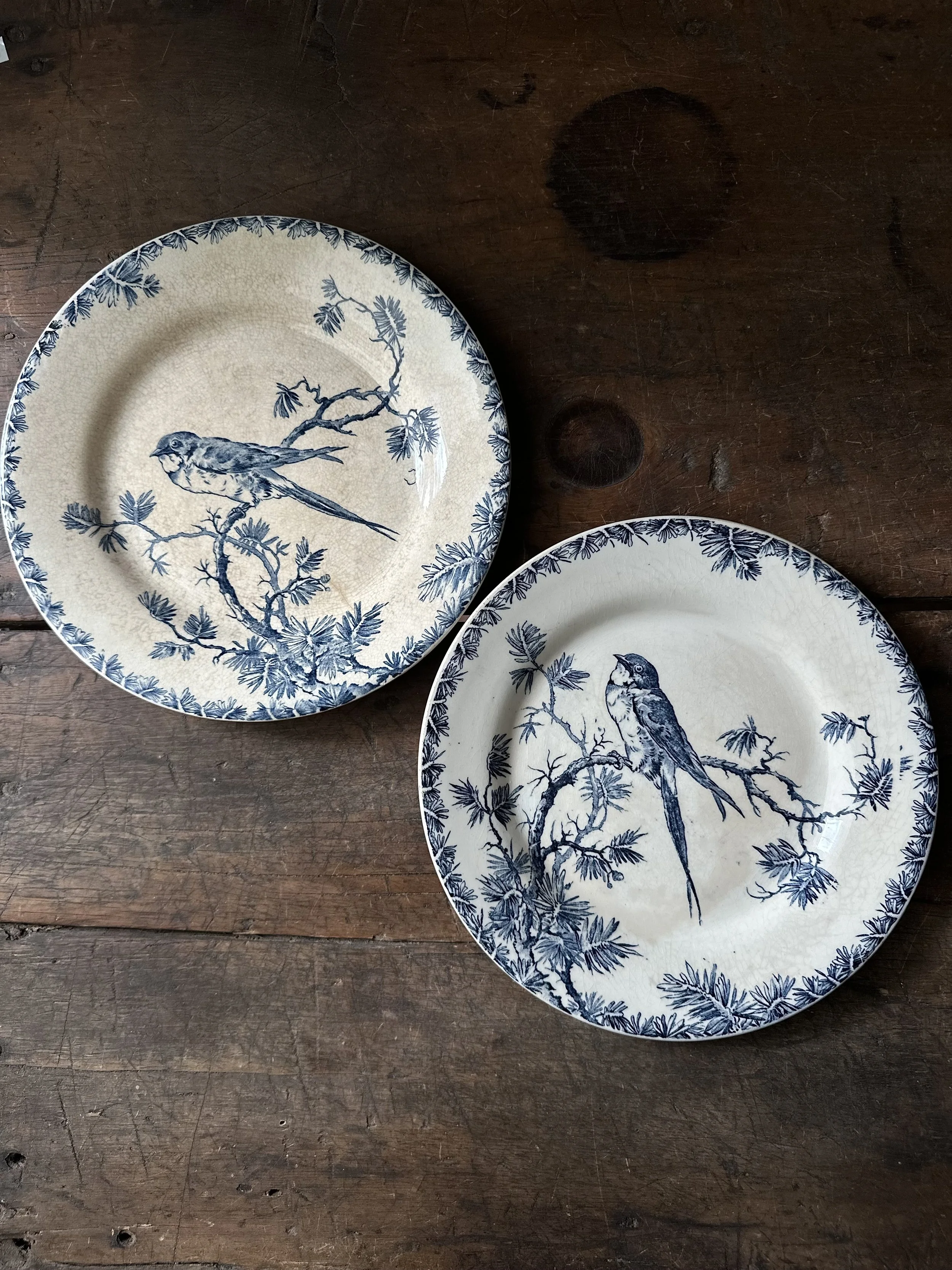 Two decorative plates with blue and white bird and branch designs on a wooden surface.