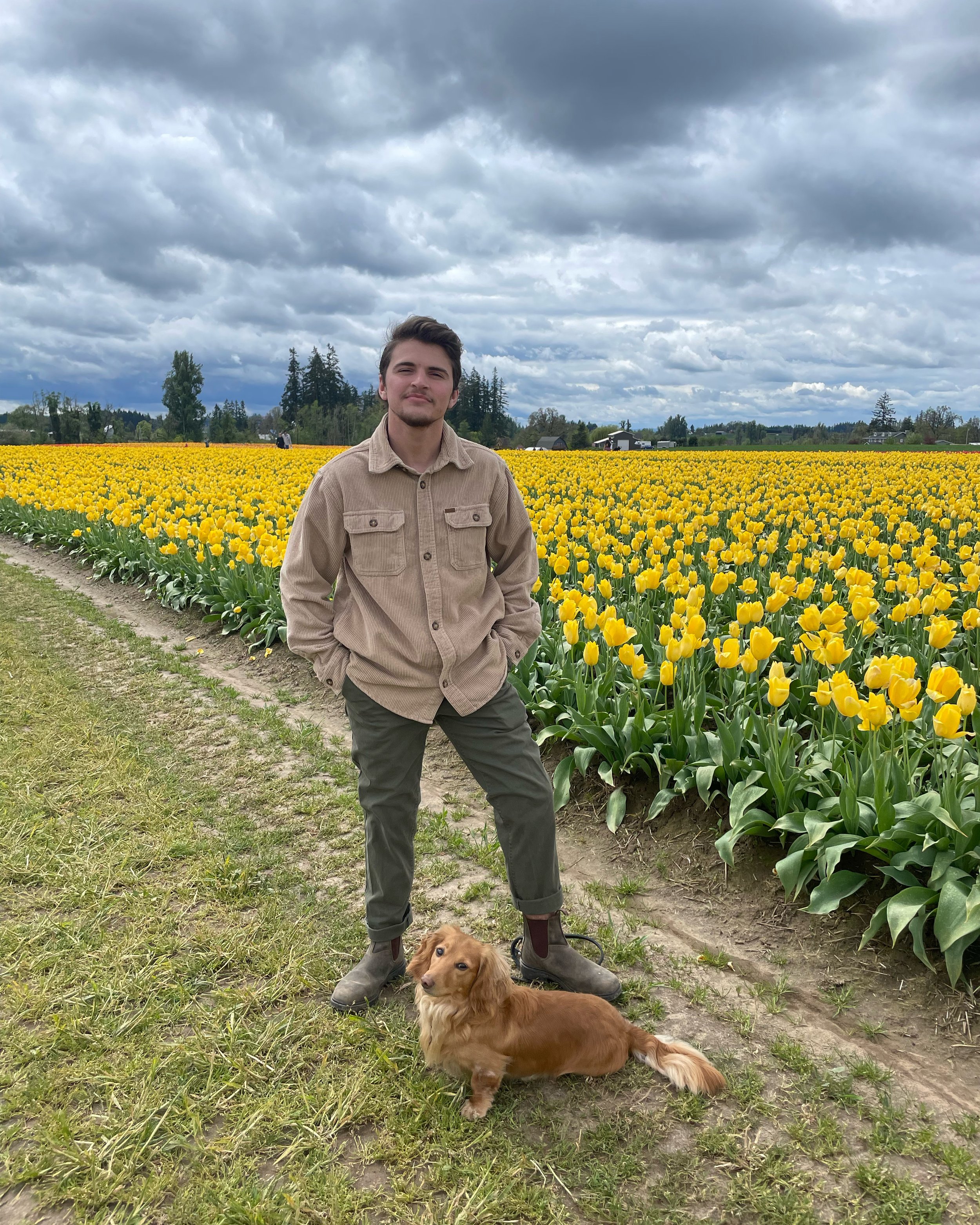 A young man standing in a field of yellow tulips with a small brown dog at his feet, under a cloudy sky.