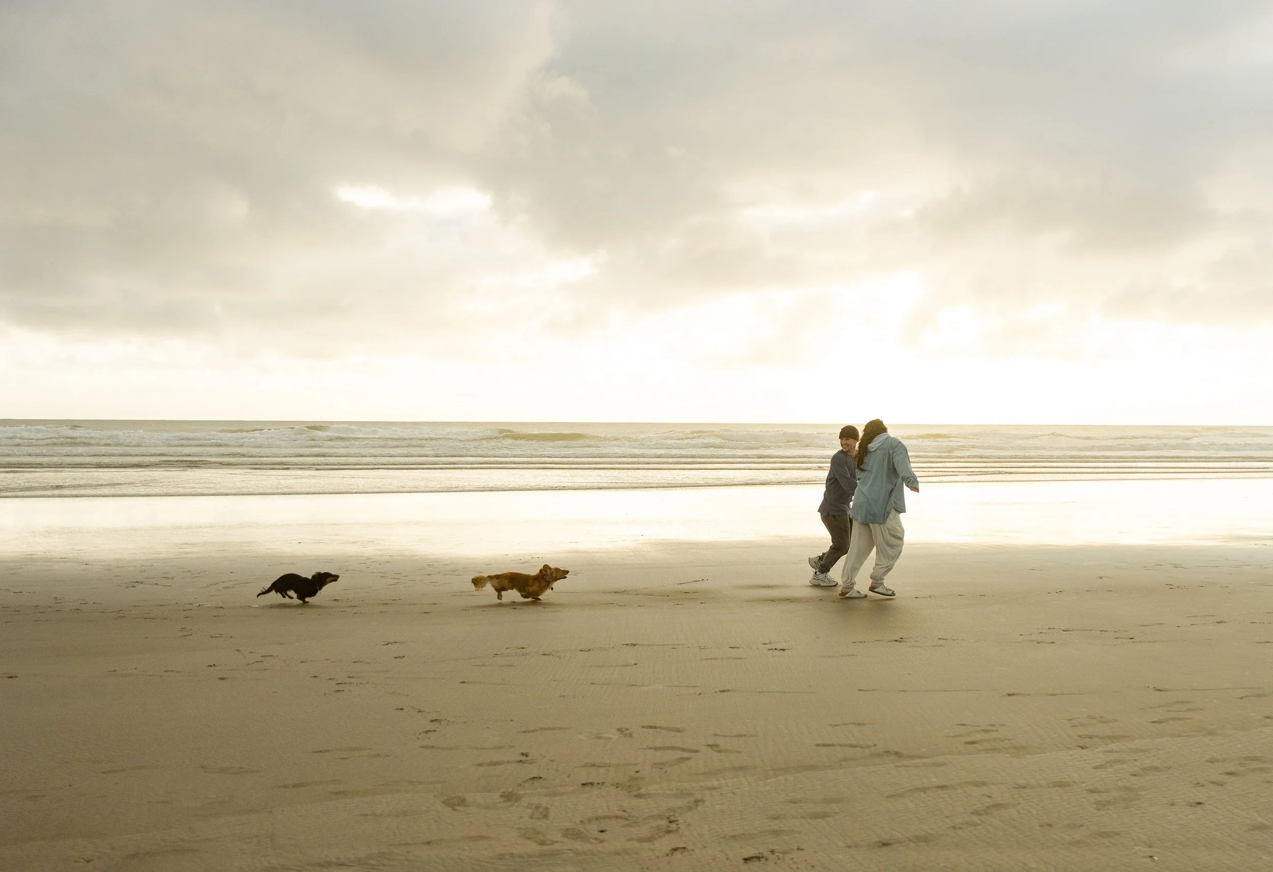 Two people walking on a beach with two dogs.