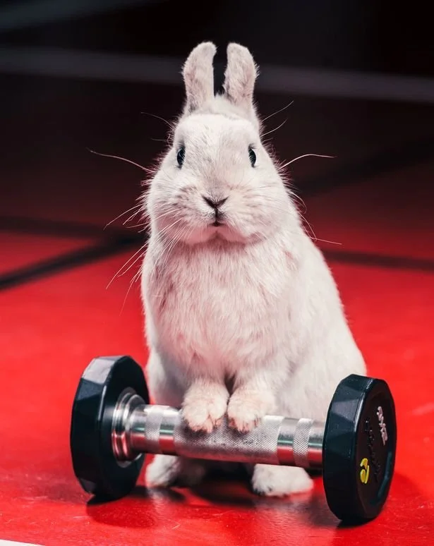 Easter Sunday - Gym is closed