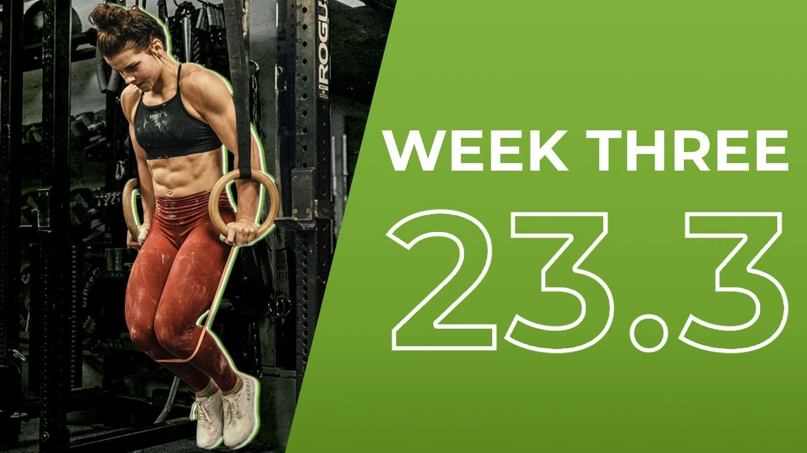 23.3 