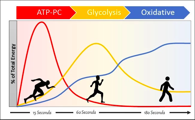 Why marathoners should lift and lifters should run